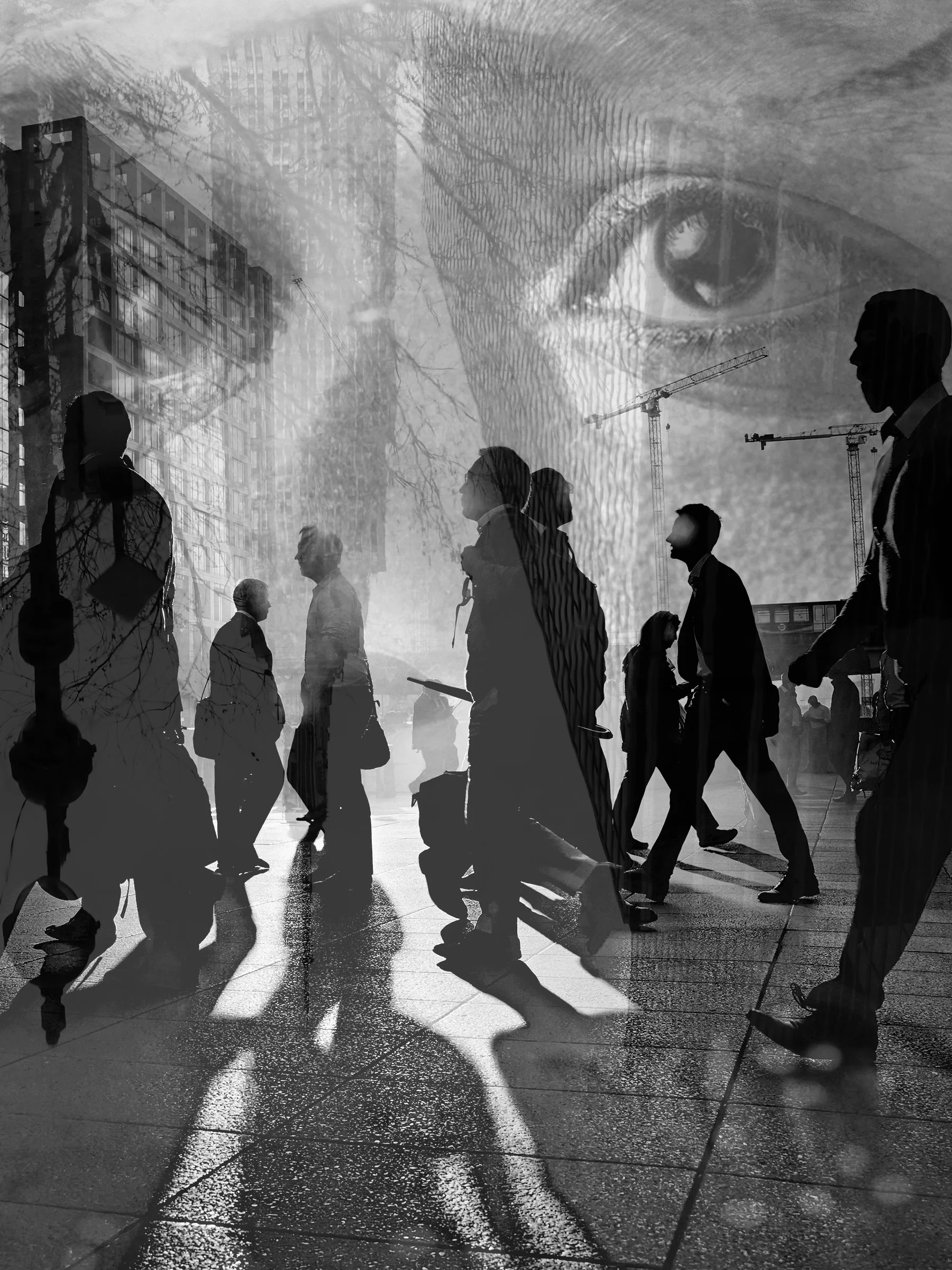 Regard-HR.jpg
