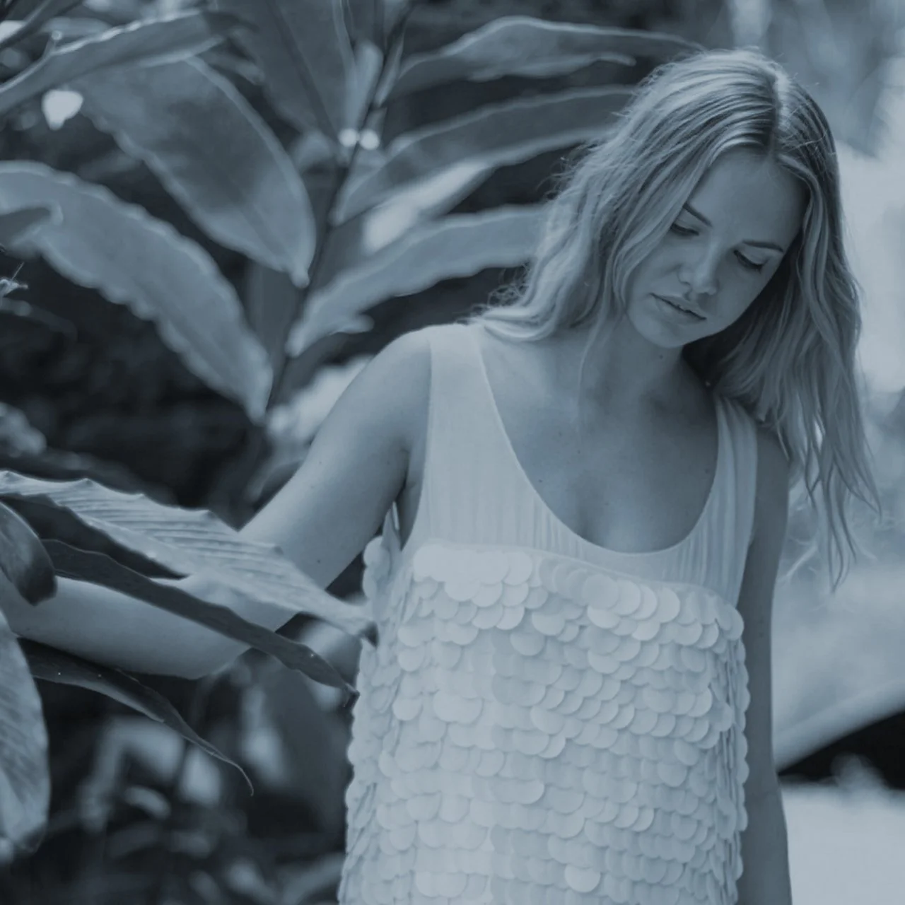 Calypso Gallery thumbnail.jpg