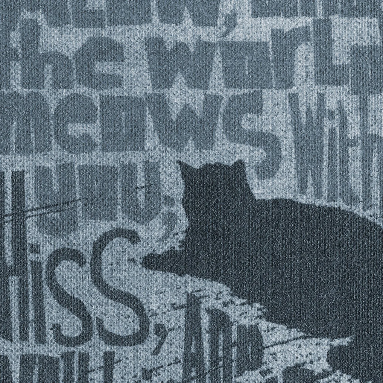 Little Cat Book_1.jpg