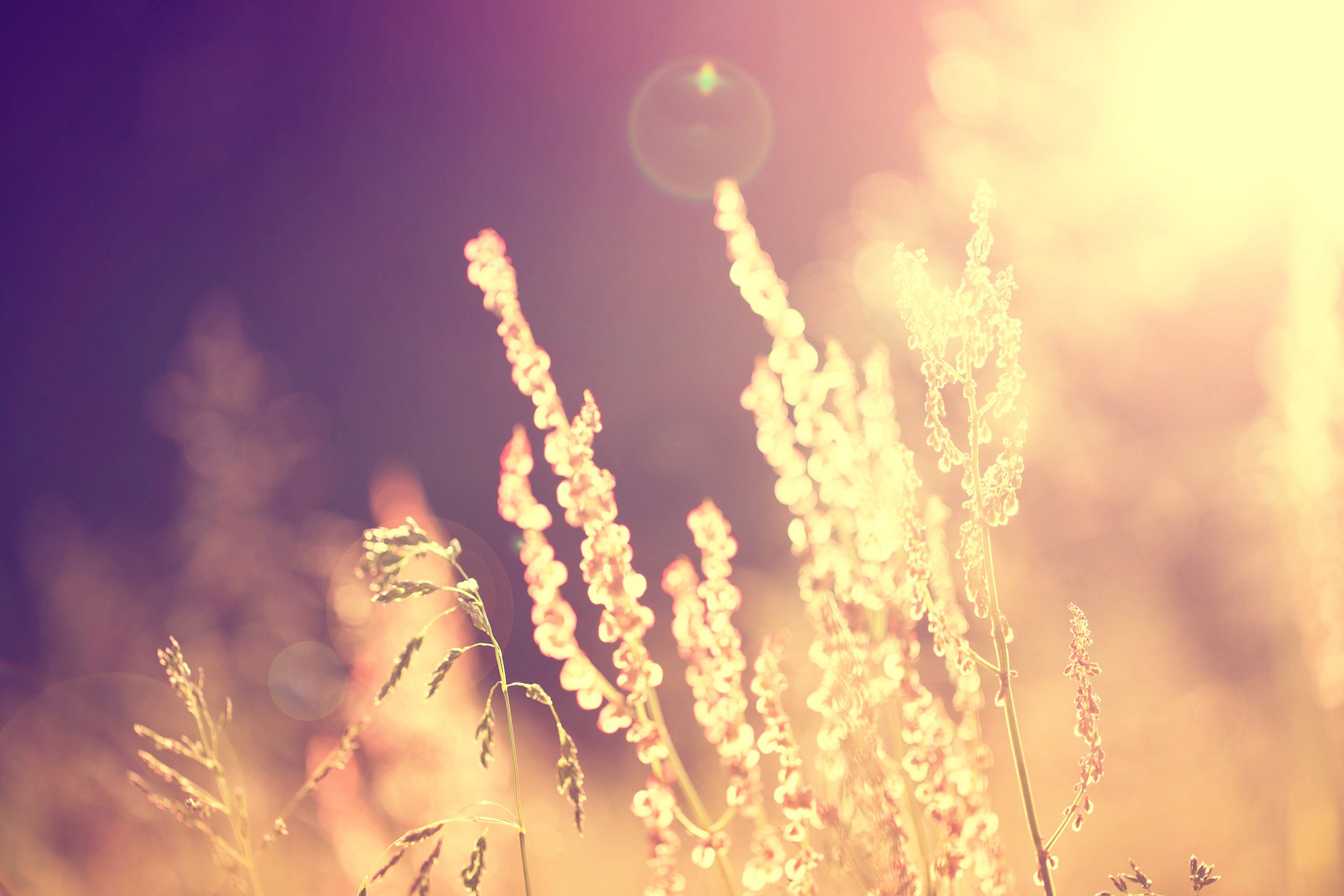 AdobeStock_69583634.jpg