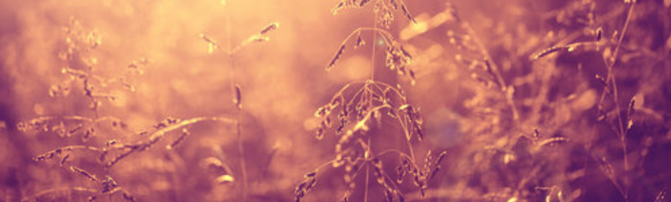 Screen Shot 2019-04-16 at 9.43.31 PM.png