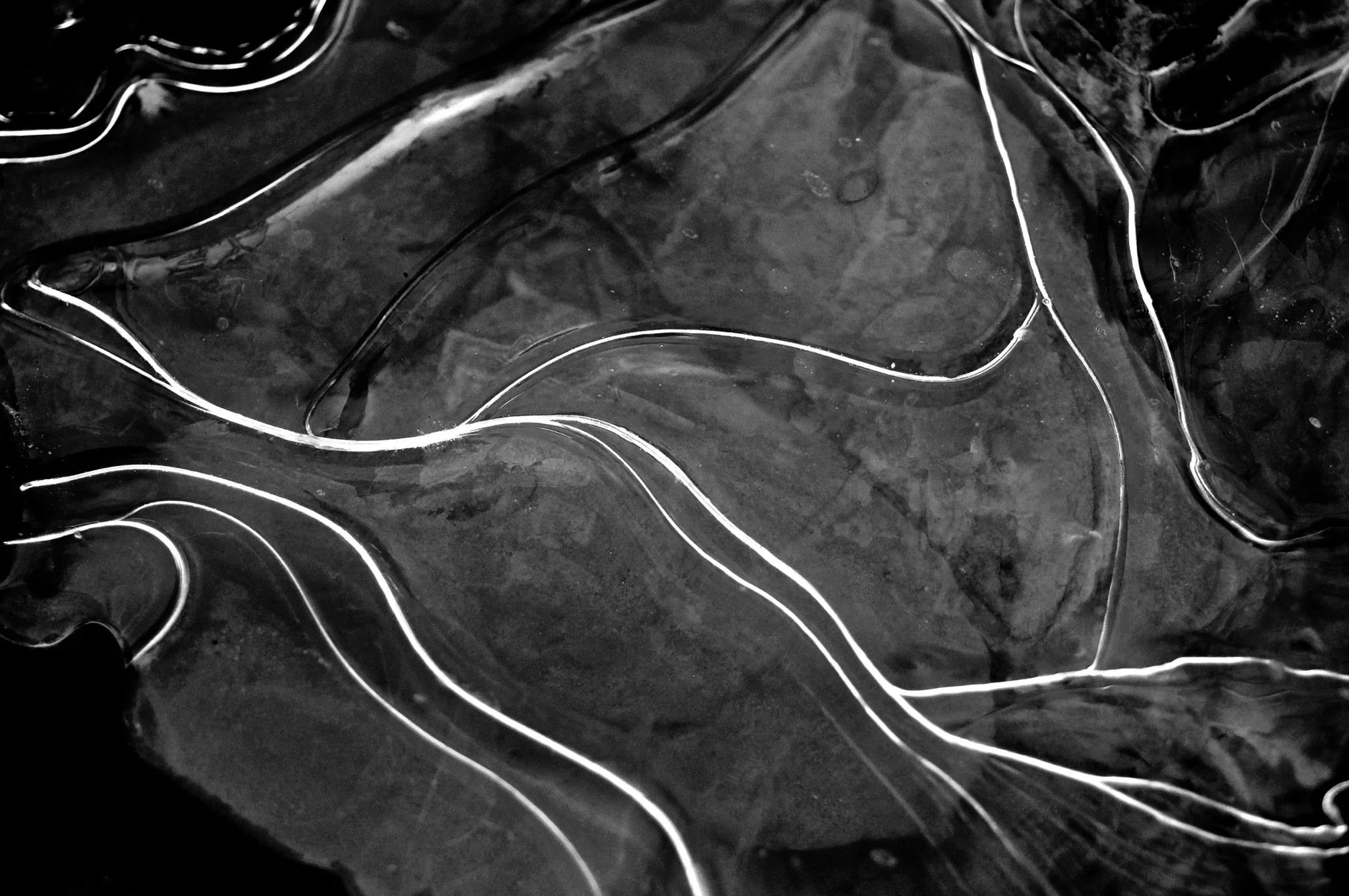 10553730_10100376040863024_4497836432125650856_o.jpg