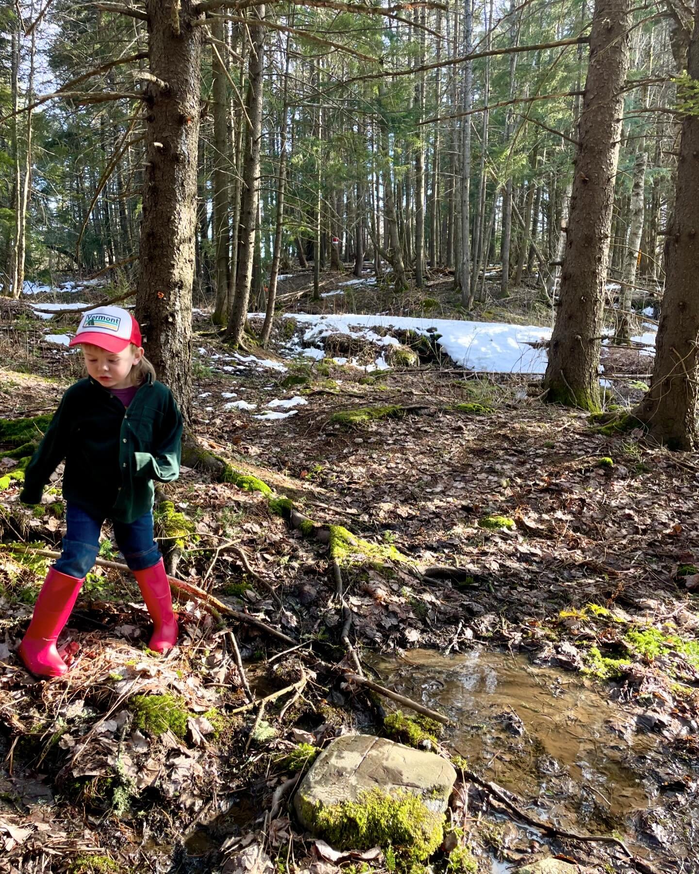 It has been nearly five years here and my affinity for Vermonters is off the charts. It has been a slow roll, to say the least, and even though it feels like it is the Vermonters that are warming up, I think it may be me that has changed or some comb