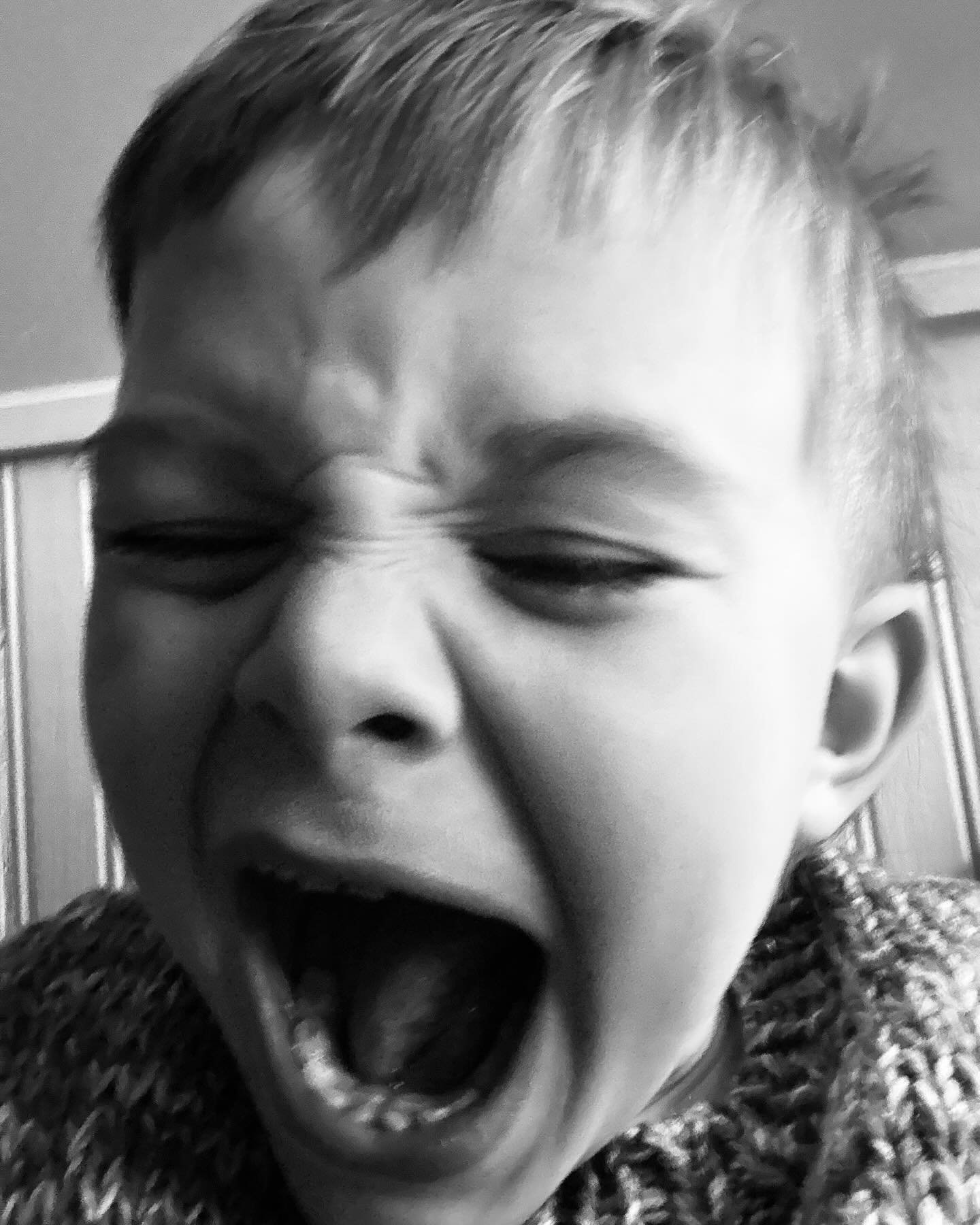 from a longer note over on crying season &gt;&gt;

Freddy lost his very first tooth on Saturday morning. With its neighbor loose next door and the two big bottoms already breaking skin and pushing through behind. He isn&rsquo;t a fan of wiggling, nei