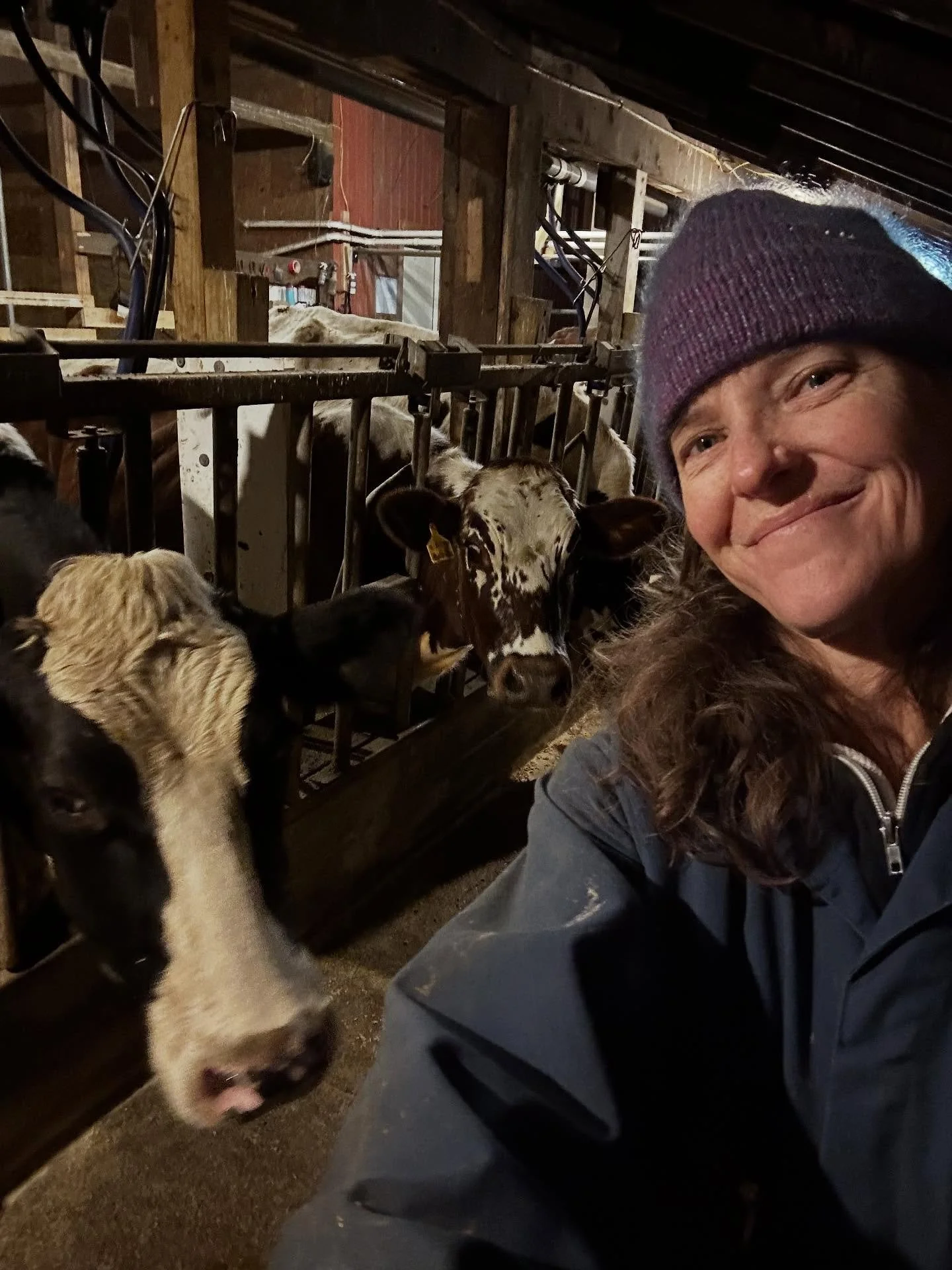 A little bit lately 
+ a new essay on Crying Season. 

Something like this &gt;&gt;
Well, it is that time of year again. When those of us in the North transition hard from one life and into another. I know I say this every year, but it never gets any