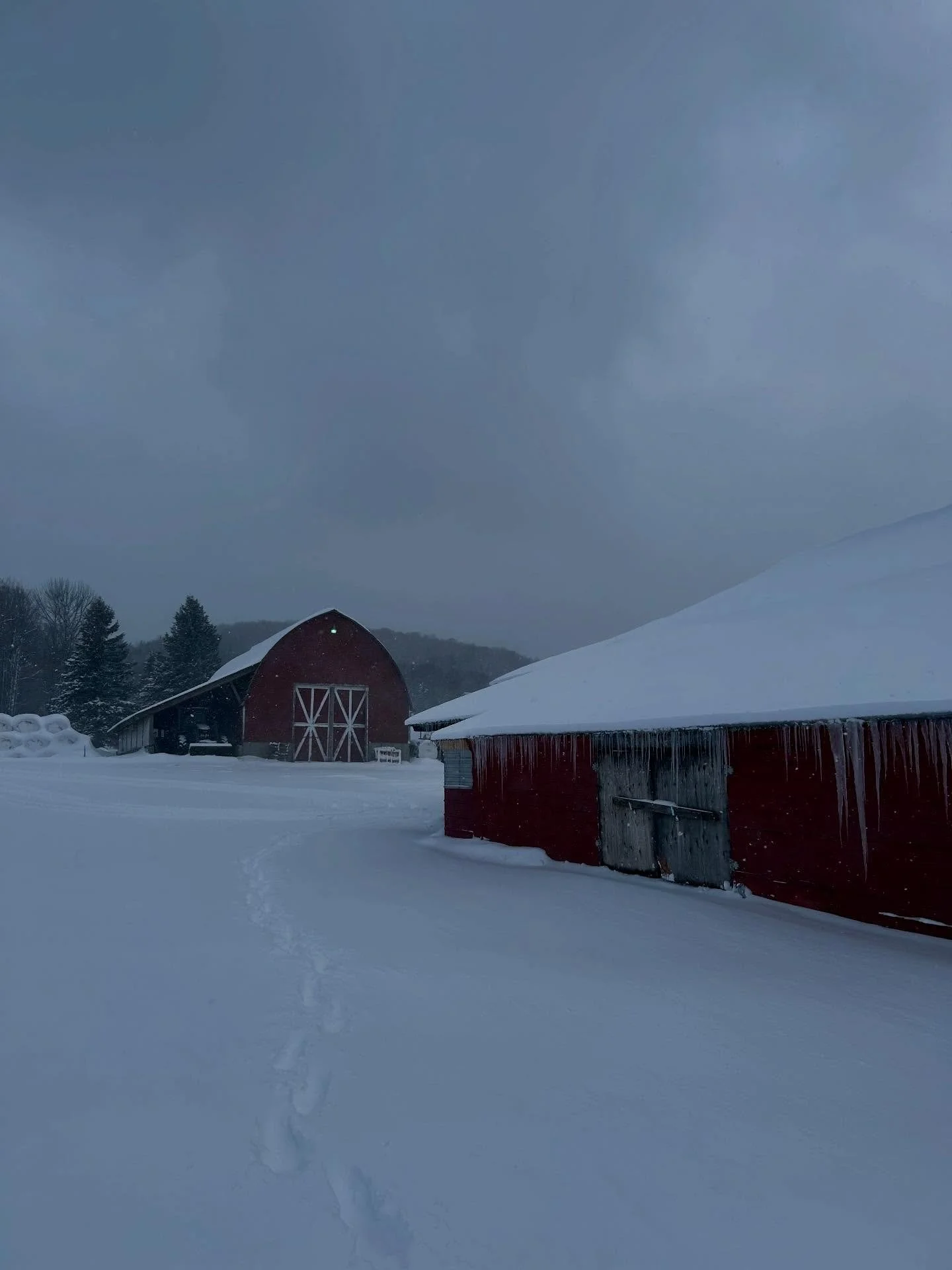 I am a tomten now for true. 

New short essay/farm story up on Crying Season. And some news of changes coming to my stack in the new year. Cheers friends. Thanks for linking over and reading. 

>>> https://open.substack.com/pub/cryingseason/