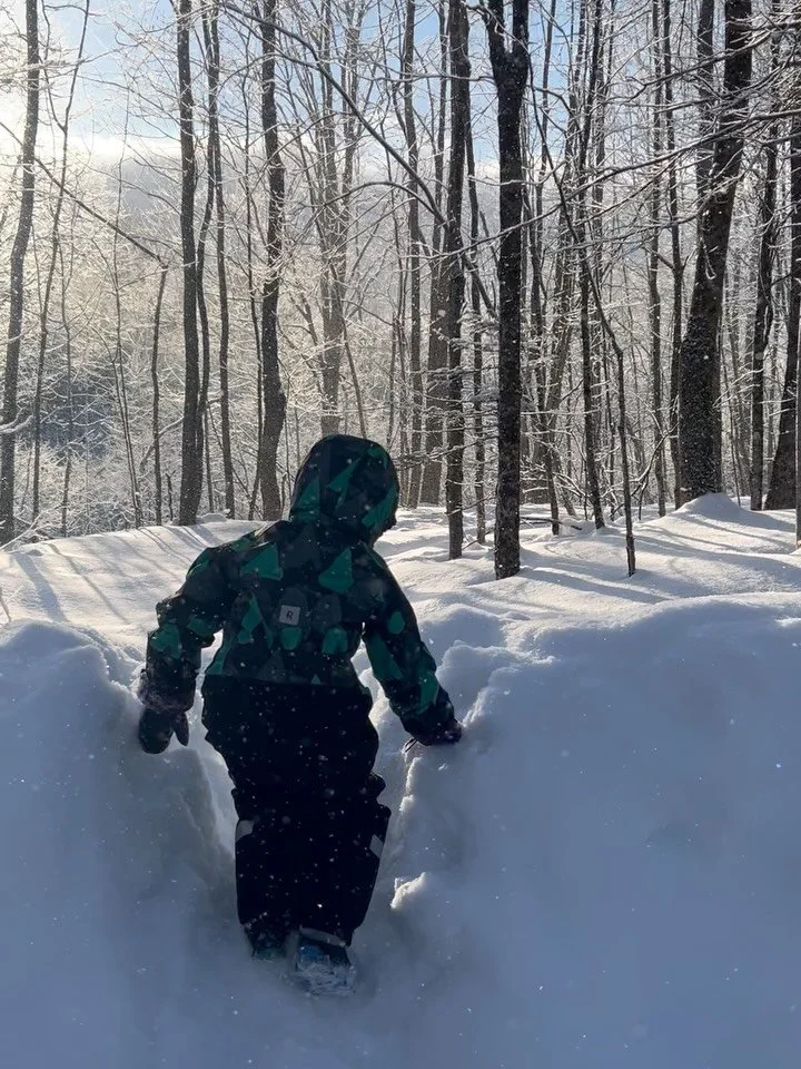 keep going 

{{fam zone winter edit}}