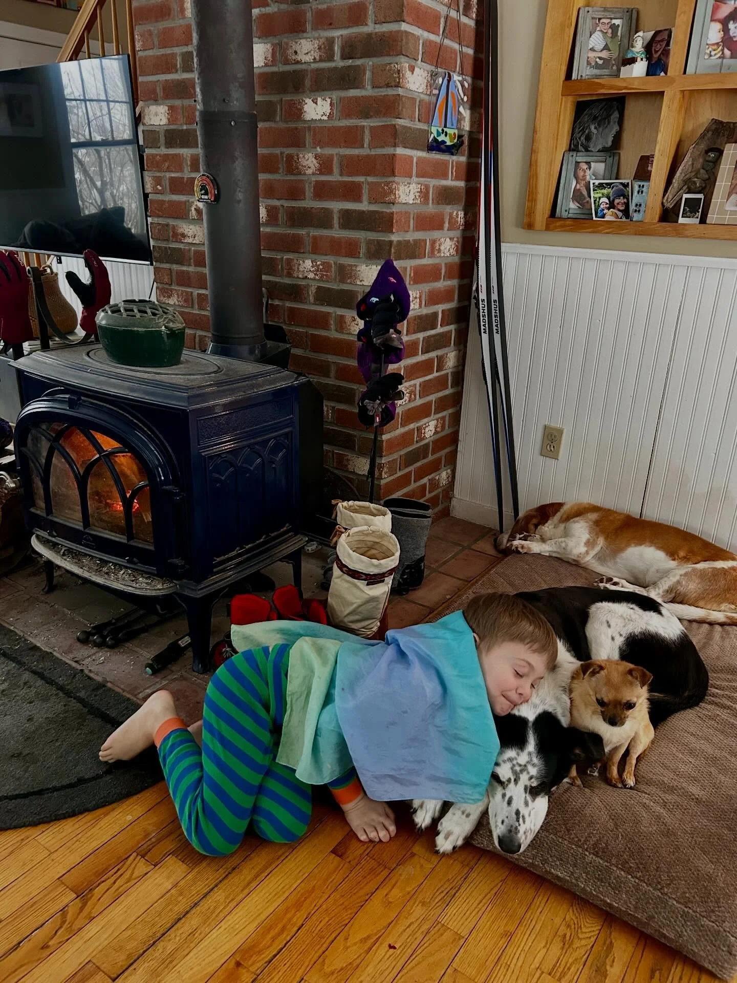 The timeline once again has me in its grip. I am in disbelief at the sheer magnitude of the content. So much has already been lived. So many stories, iterations, chapters, seasons, lives. In the book I have been reading this week, the narrator says t