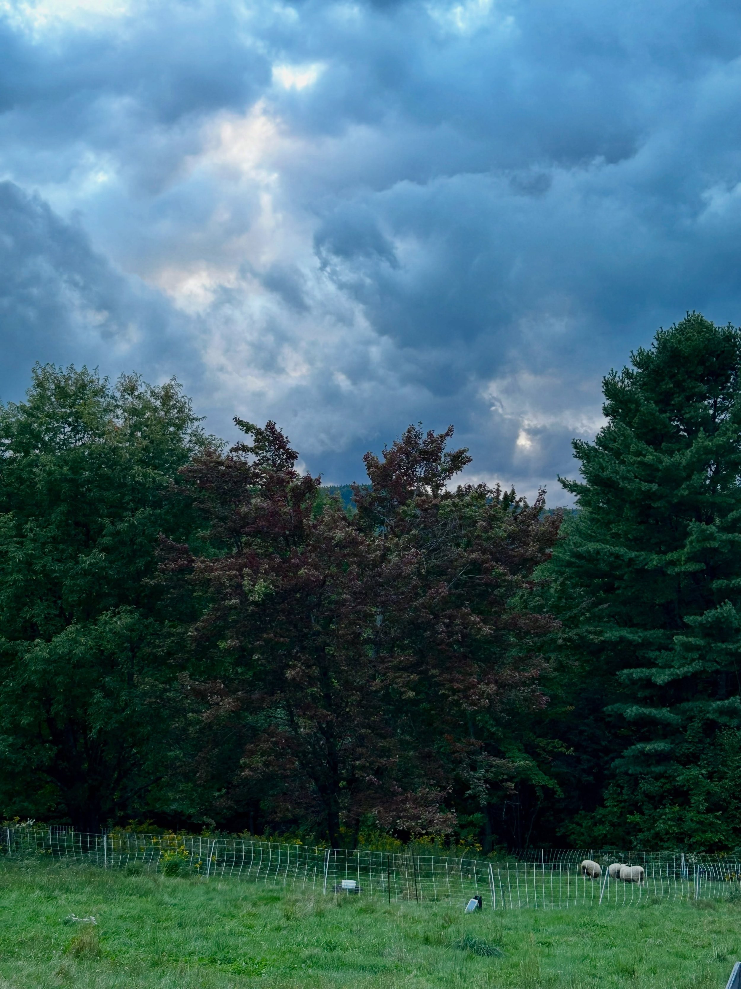 September so far and a new essay 

read it here >> https://cryingseason.substack.com/p/so-many-broken-popsicle-sticks?r=o0zym&amp;utm_medium=ios&amp;shareImageVariant=title