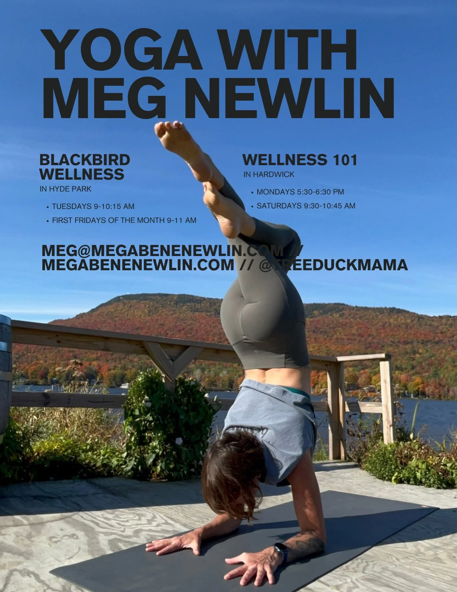 CURRENT CLASS SCHEDULE ::

MONDAY 5:30-6:30 @wellness101vt in Hardwick
TUESDAY 9-10:15 @blackbirdvt9 in Hyde Park 
(WEDNESDAY 5 pm online- join the membership!)
FIRST FRIDAY of every month 9-11 @blackbirdvt9 
SATURDAY 9:30-10:45 @wellness101vt
