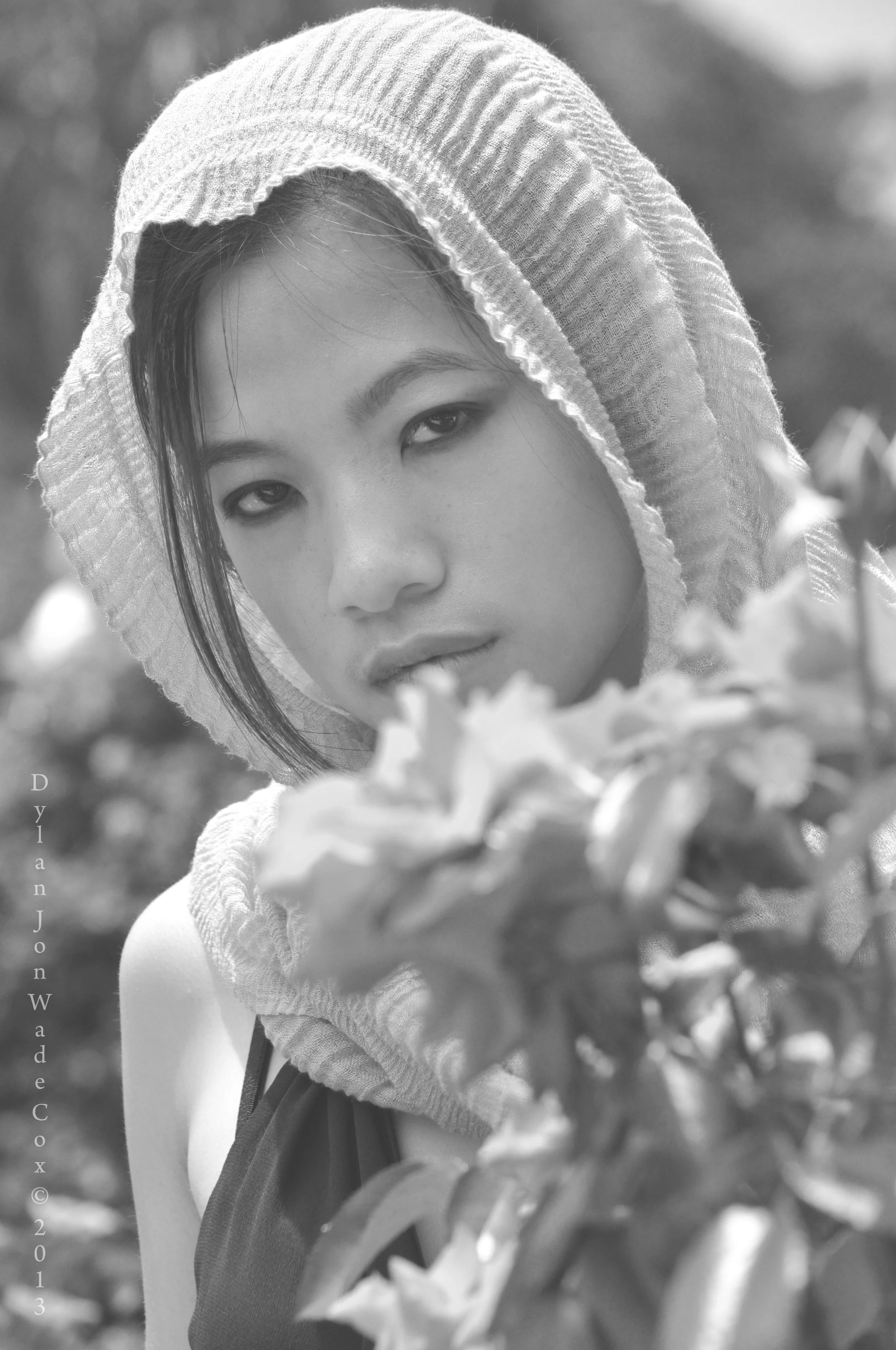 haphamrosecloseup3.jpg