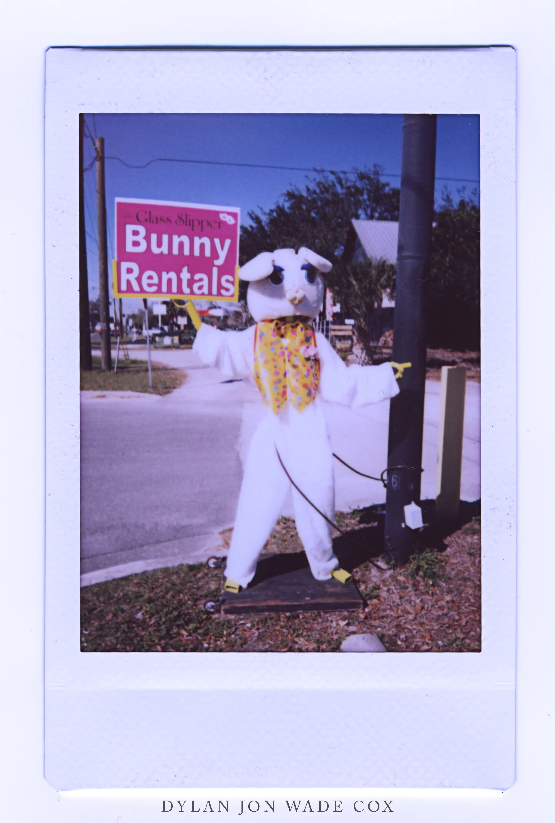 INSTAXBUNNYdjwc2.jpg