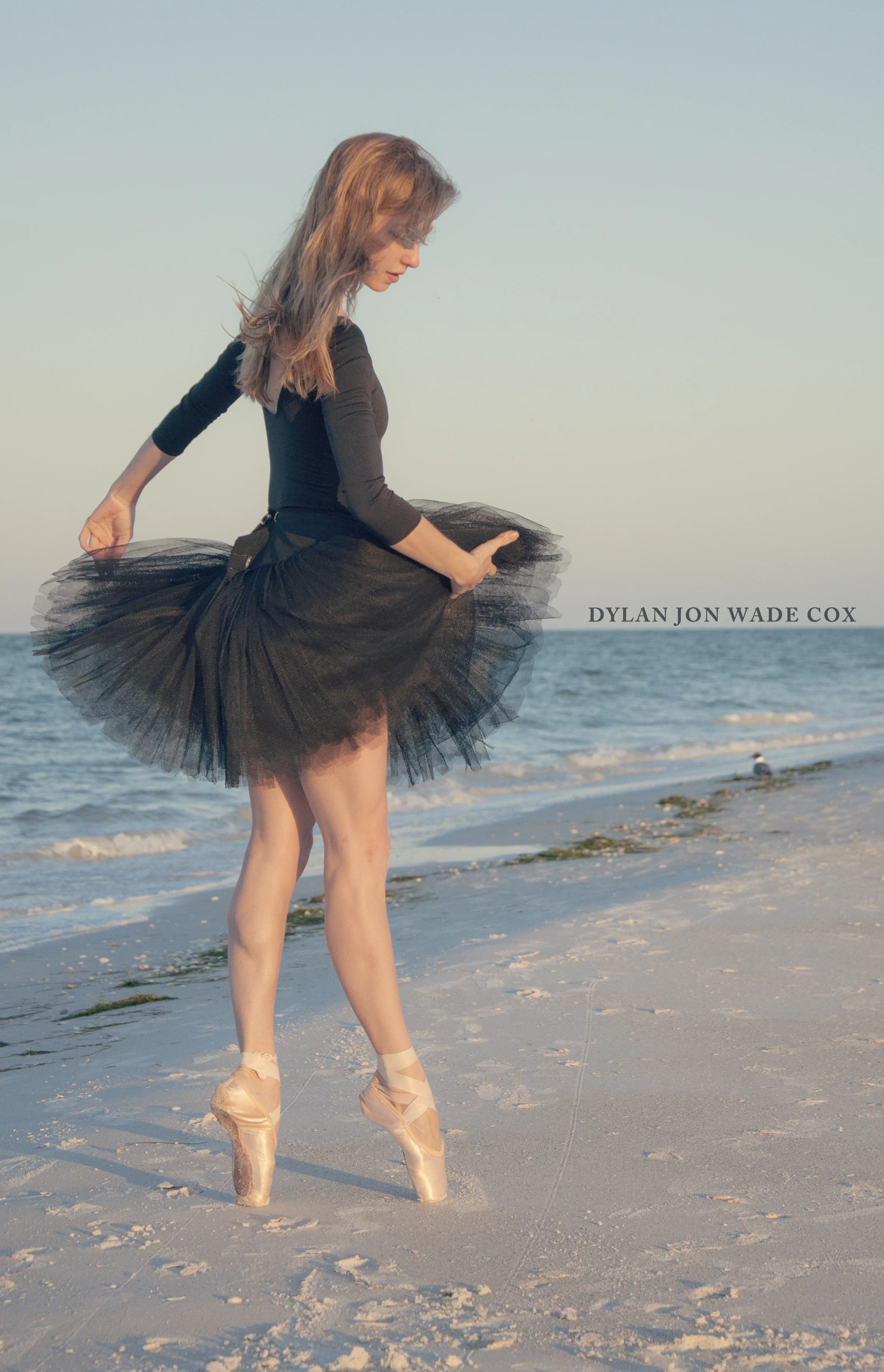 ANAIS-BNWTIPTOESdjwcolor.jpg