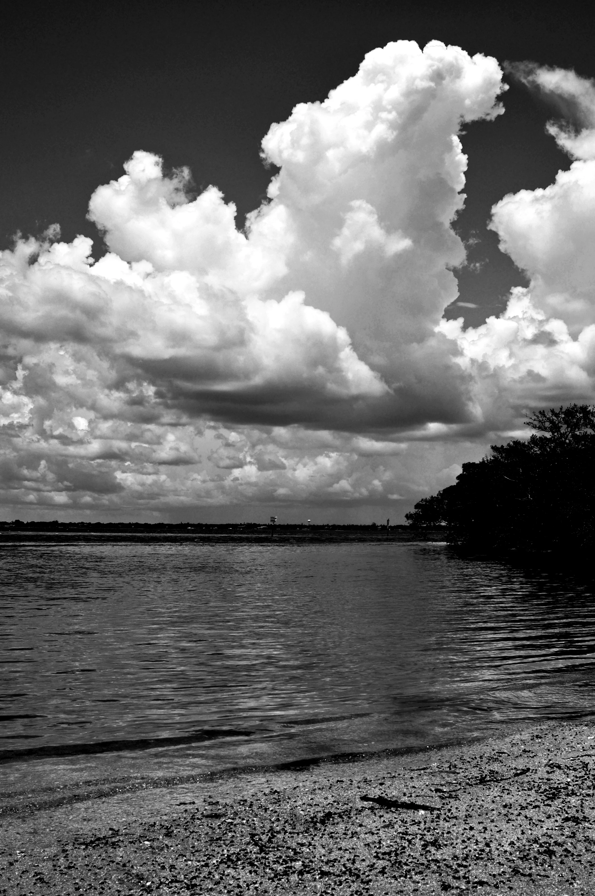 TheSecretCovefullsize.jpg