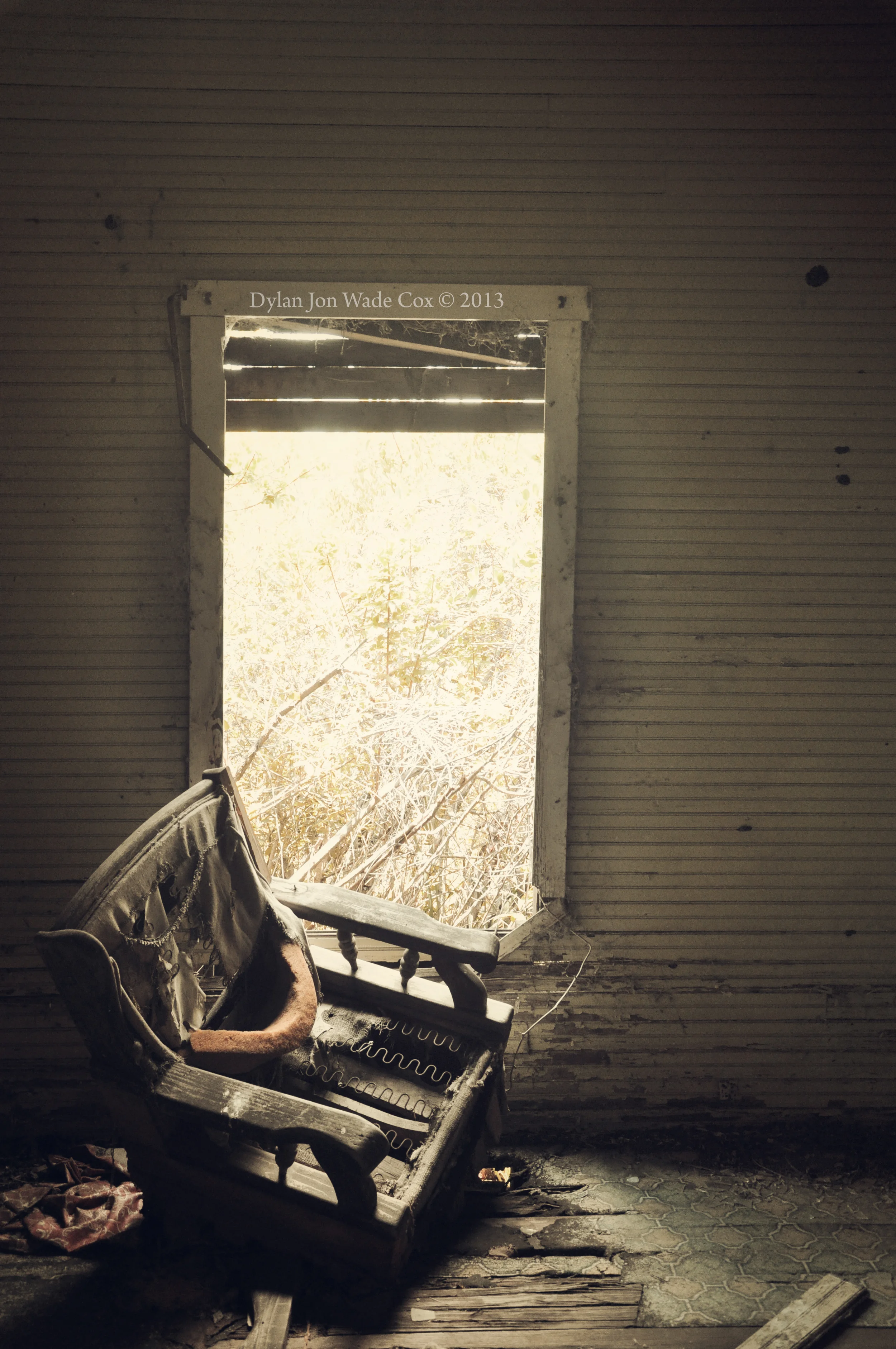 chairinwindoamyakkforrest.jpg