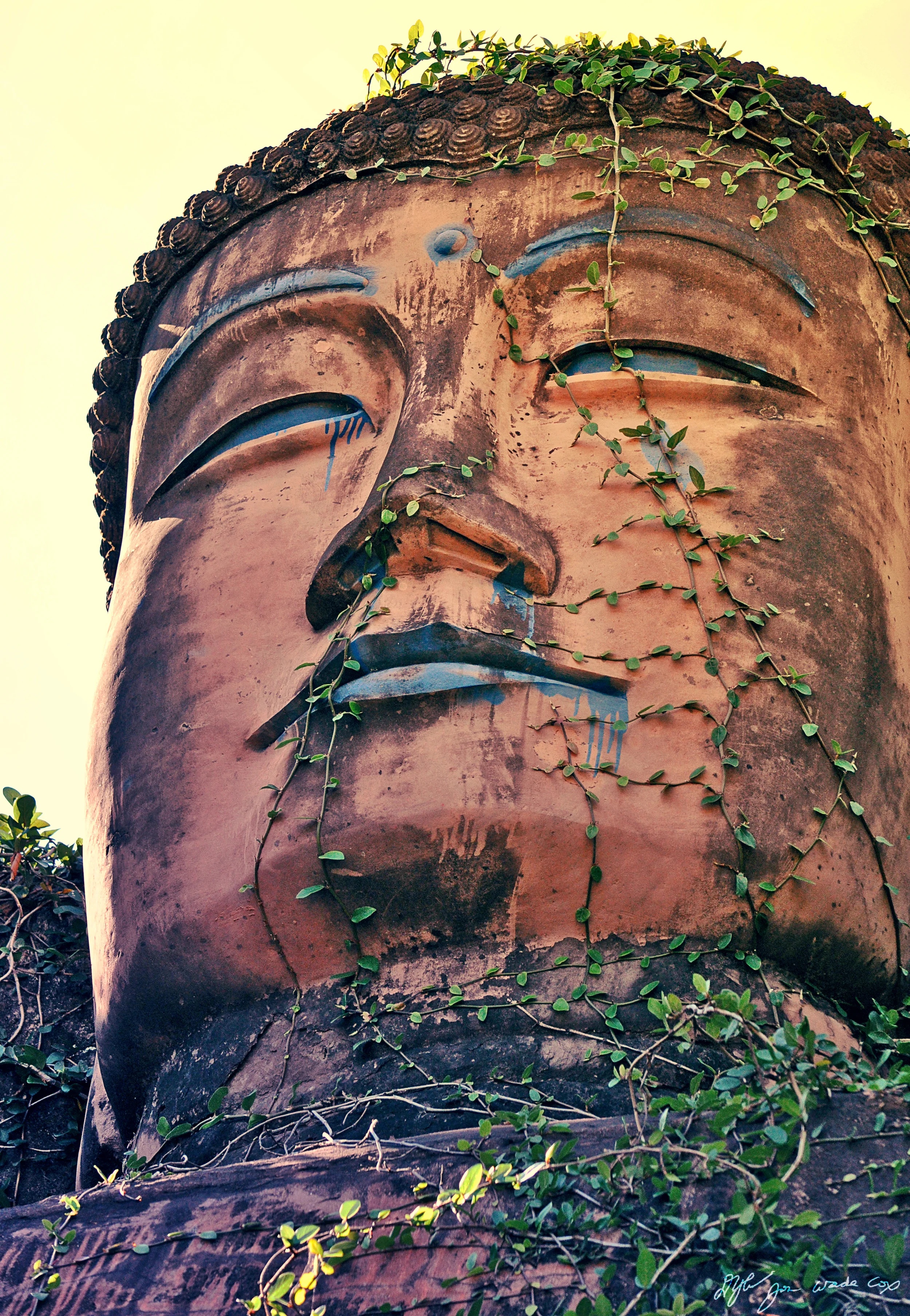 leshanbuddhadjwc.jpg