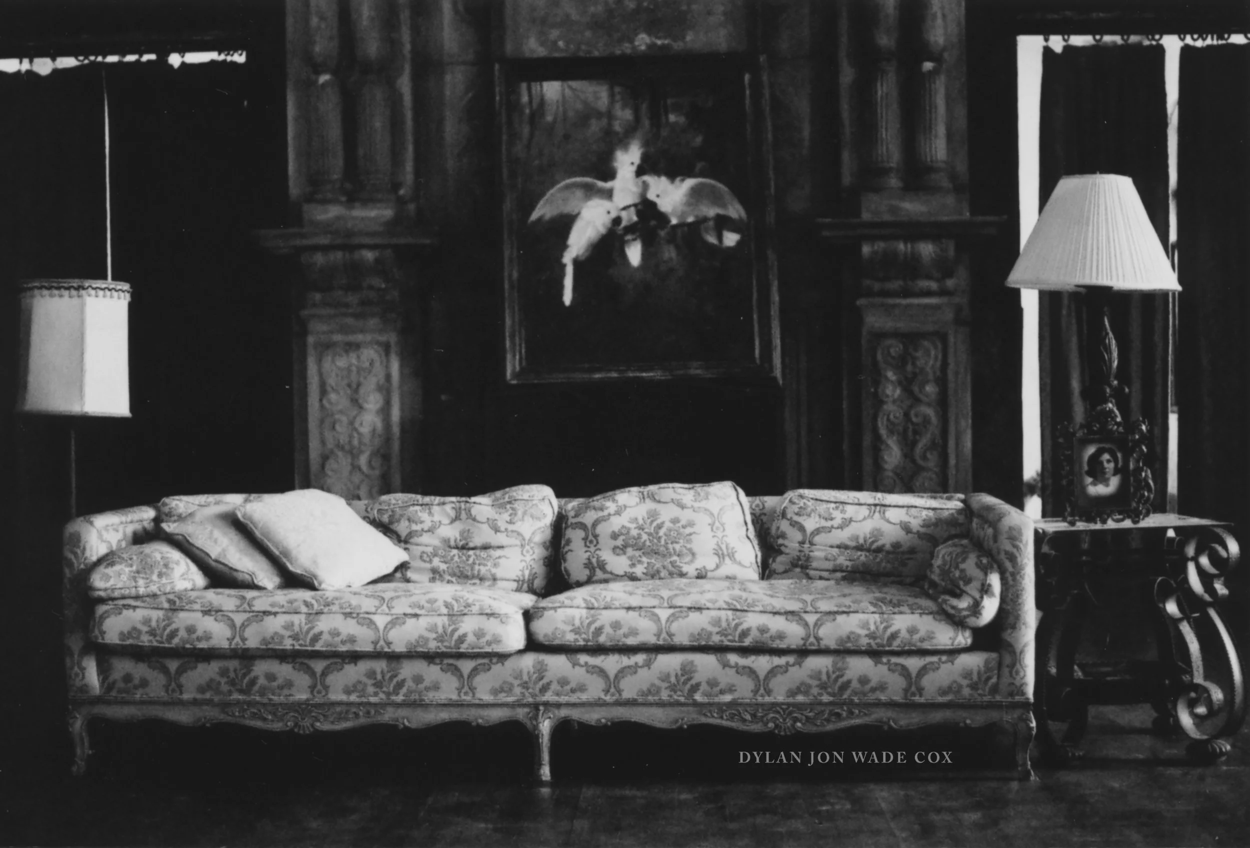 FILM-WHITEBIRDSHOWEYHILLS copyDJWC.jpg