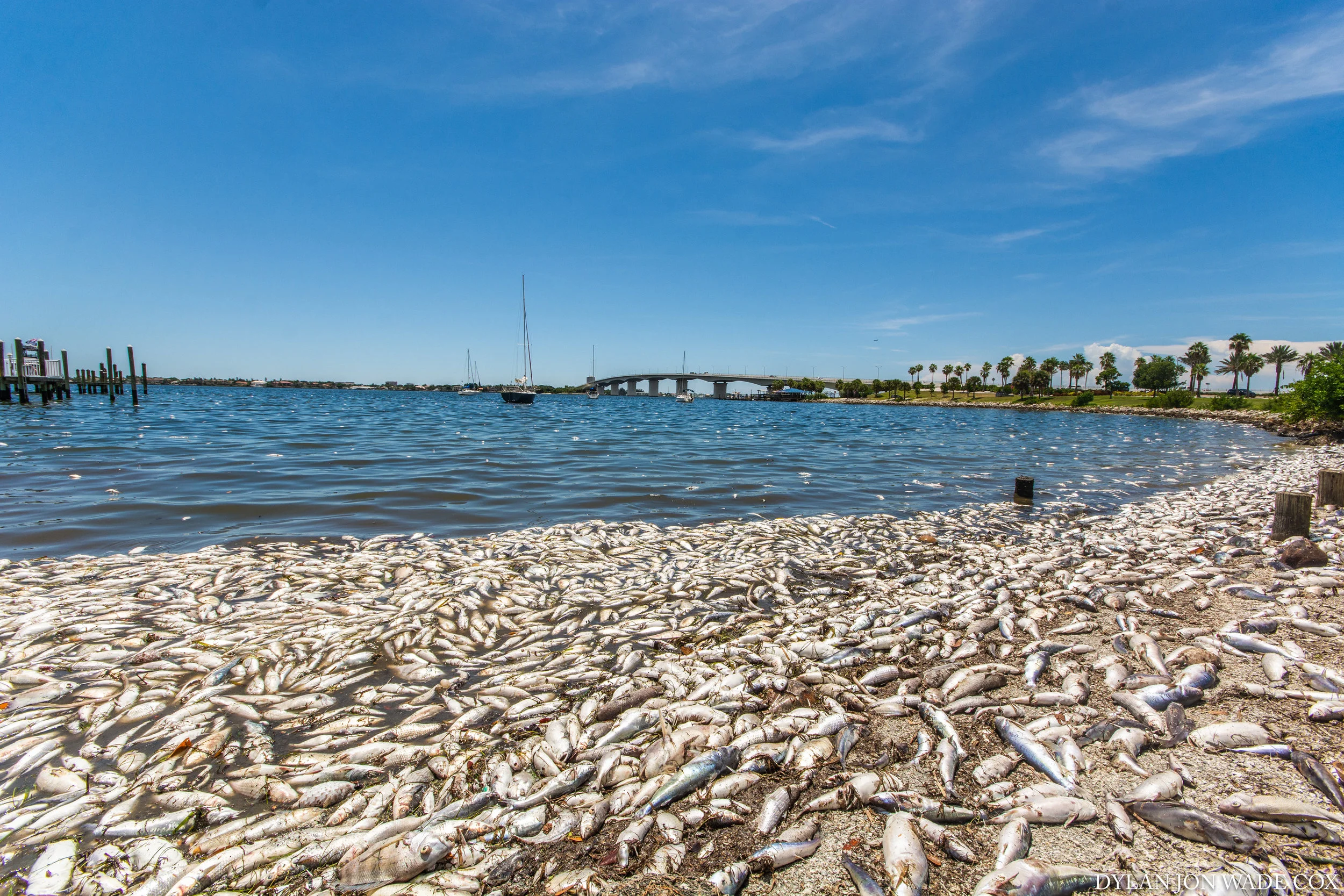 redtide-marinajacks-3059.jpg