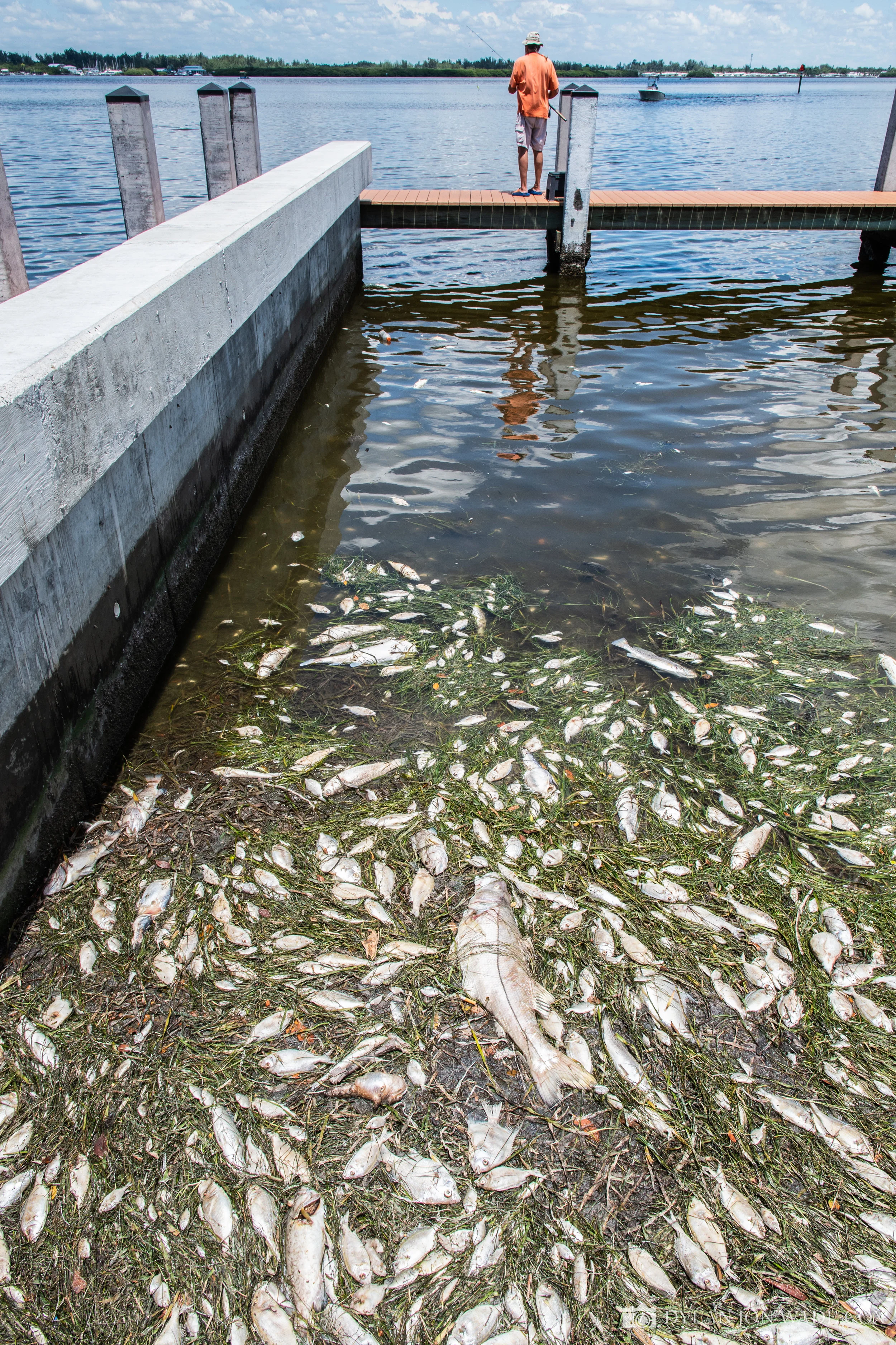 redtide-coquina-6647.jpg