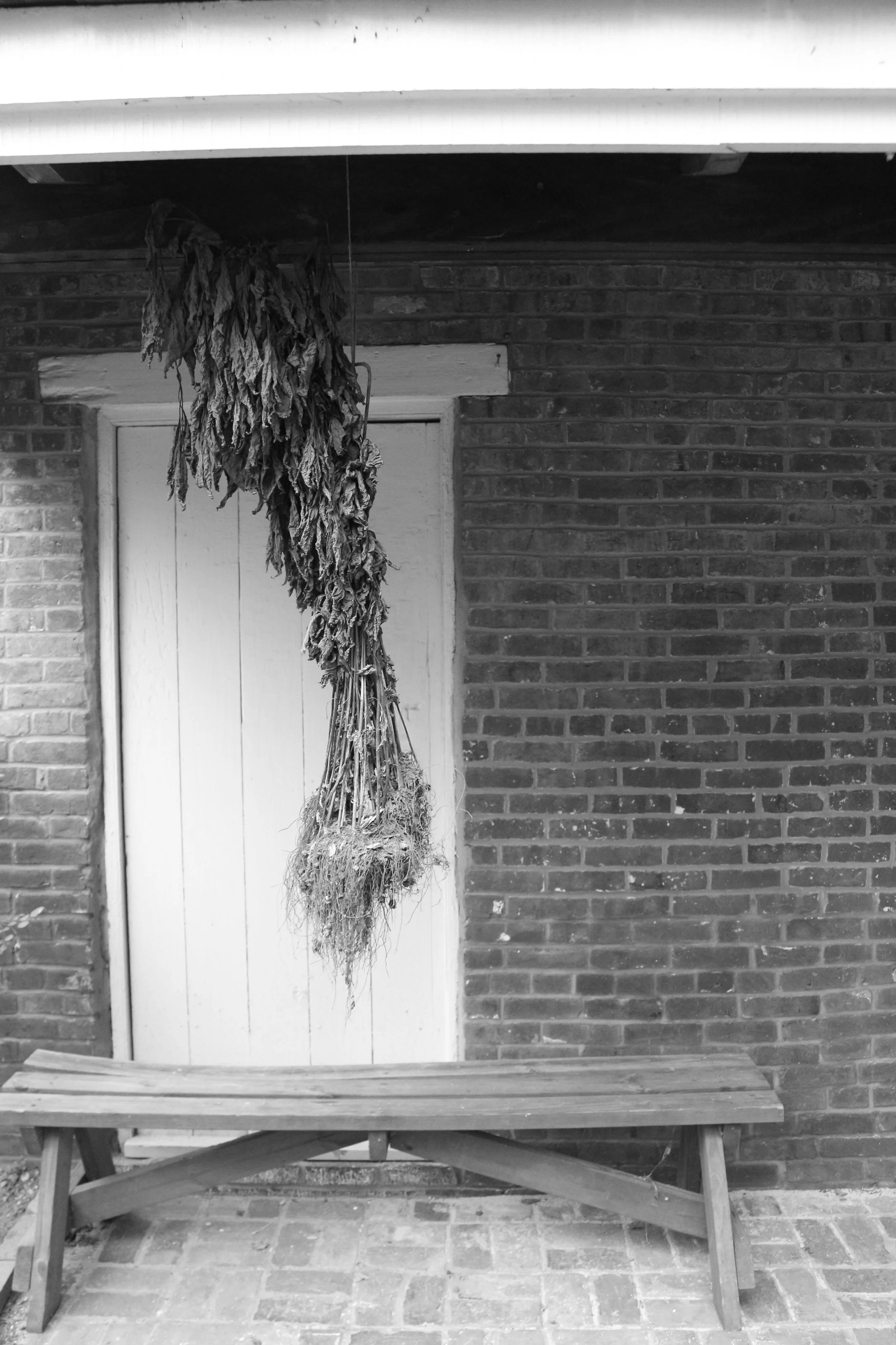 Traveller's Rest, Nashville, TN.