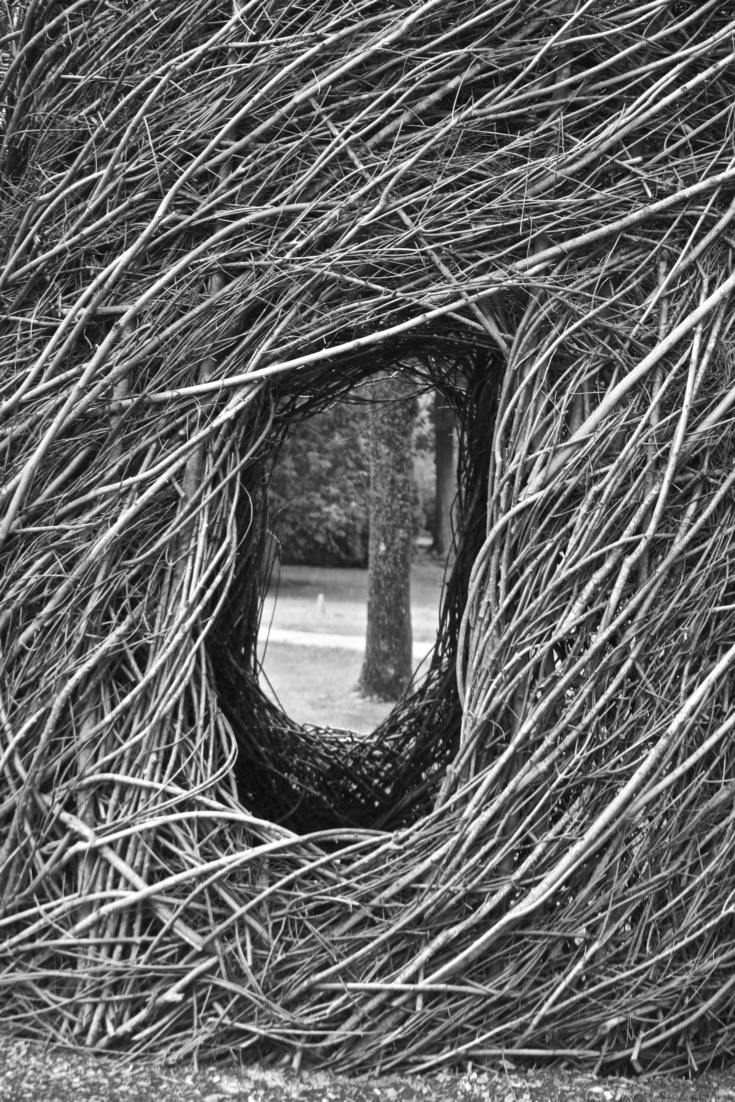  Little Bitty Pretty One by Patrick Dougherty, Cheekwood Botanical Garden, Nashville, TN. 