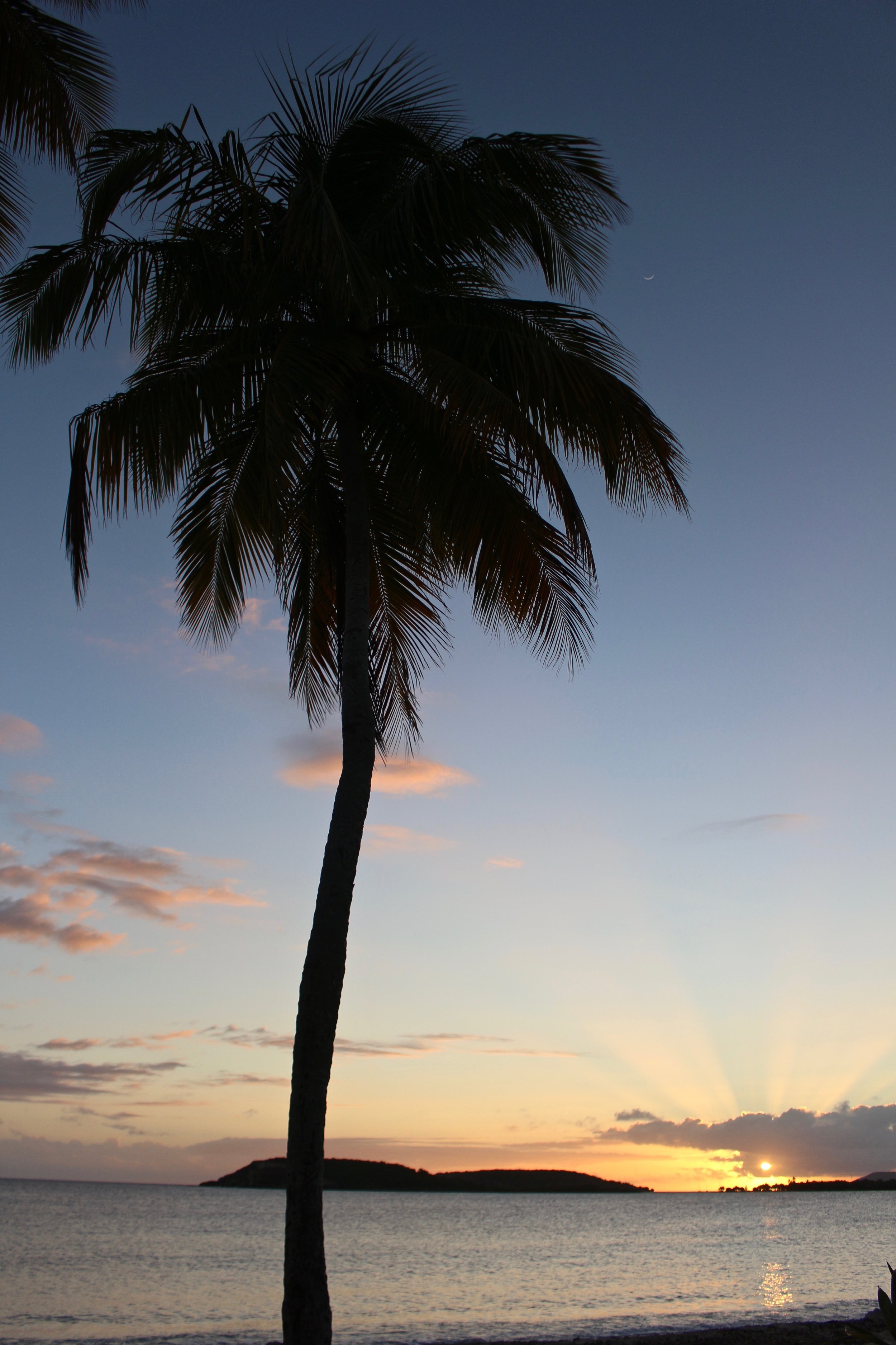  Sun Bay, Vieques, Puerto Rico. 