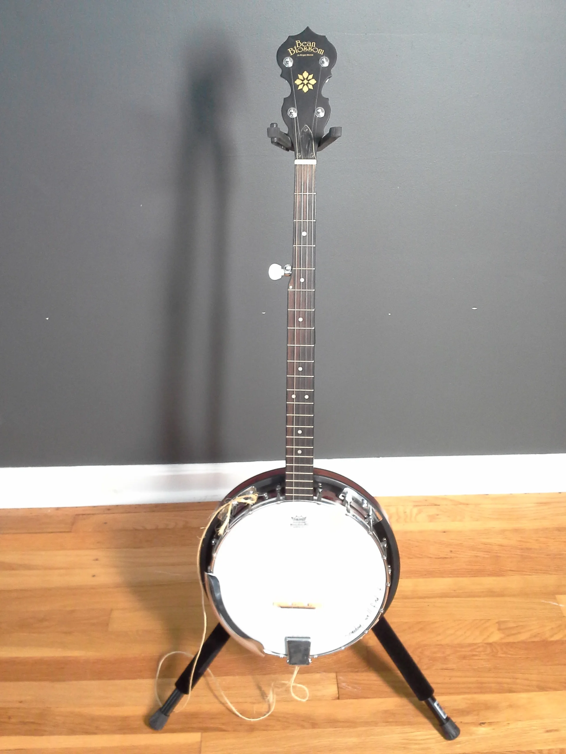 banjo.jpg