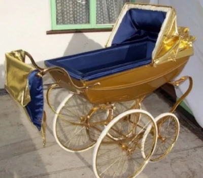 expensive stroller.jpg