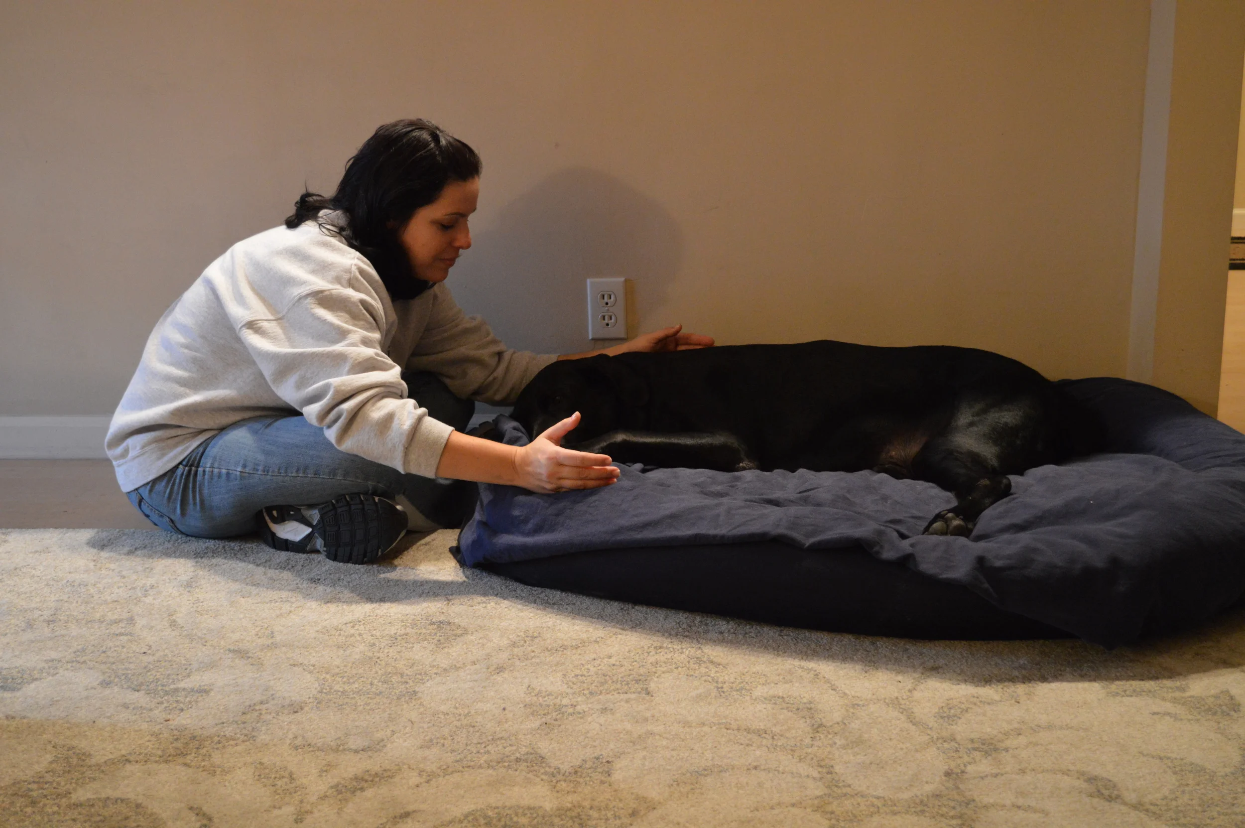 Sharing a Reiki space with Gator.