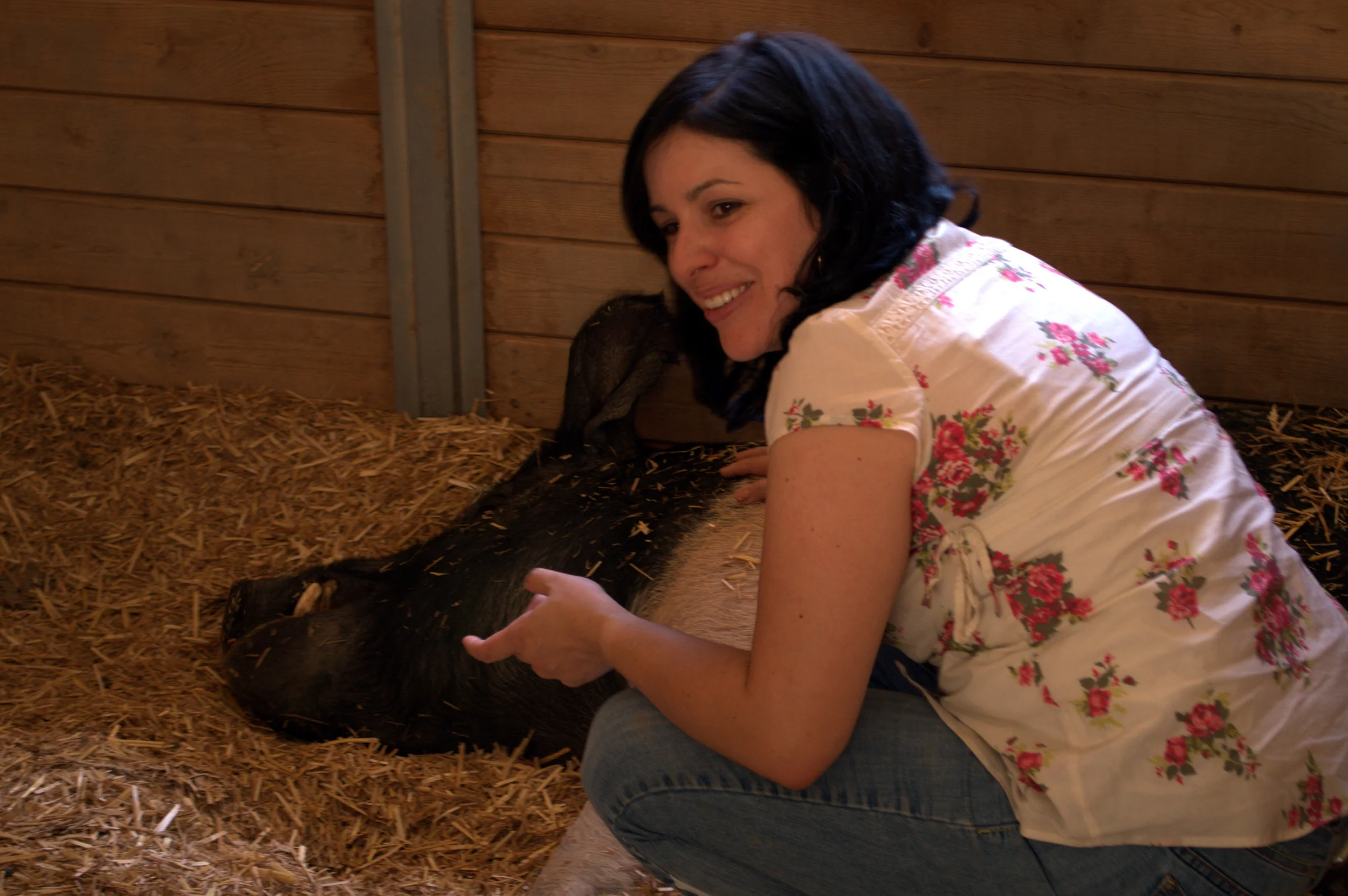 This is my friend Zeus, the pig!