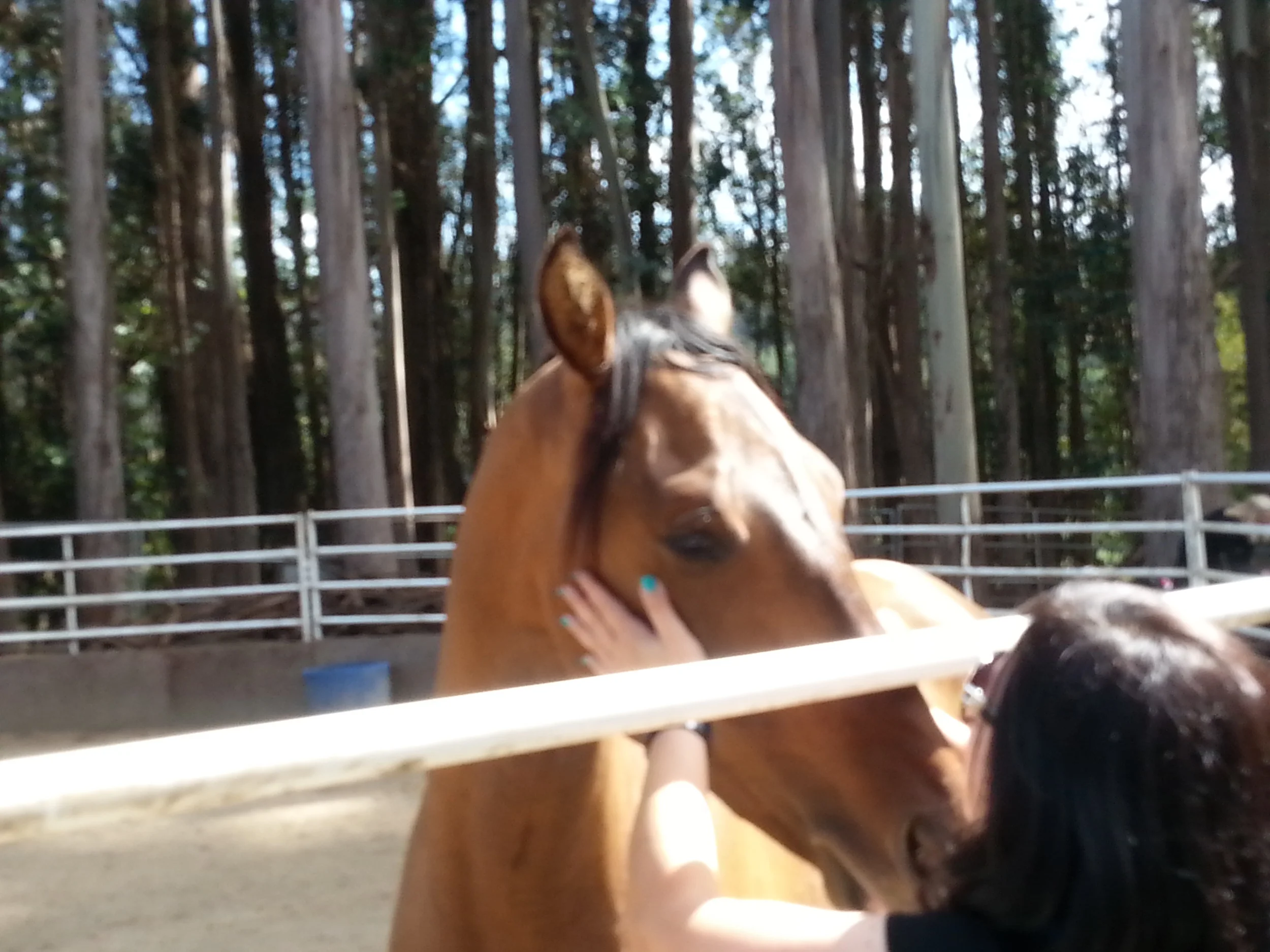 At PMR sharing some treats and love with her!