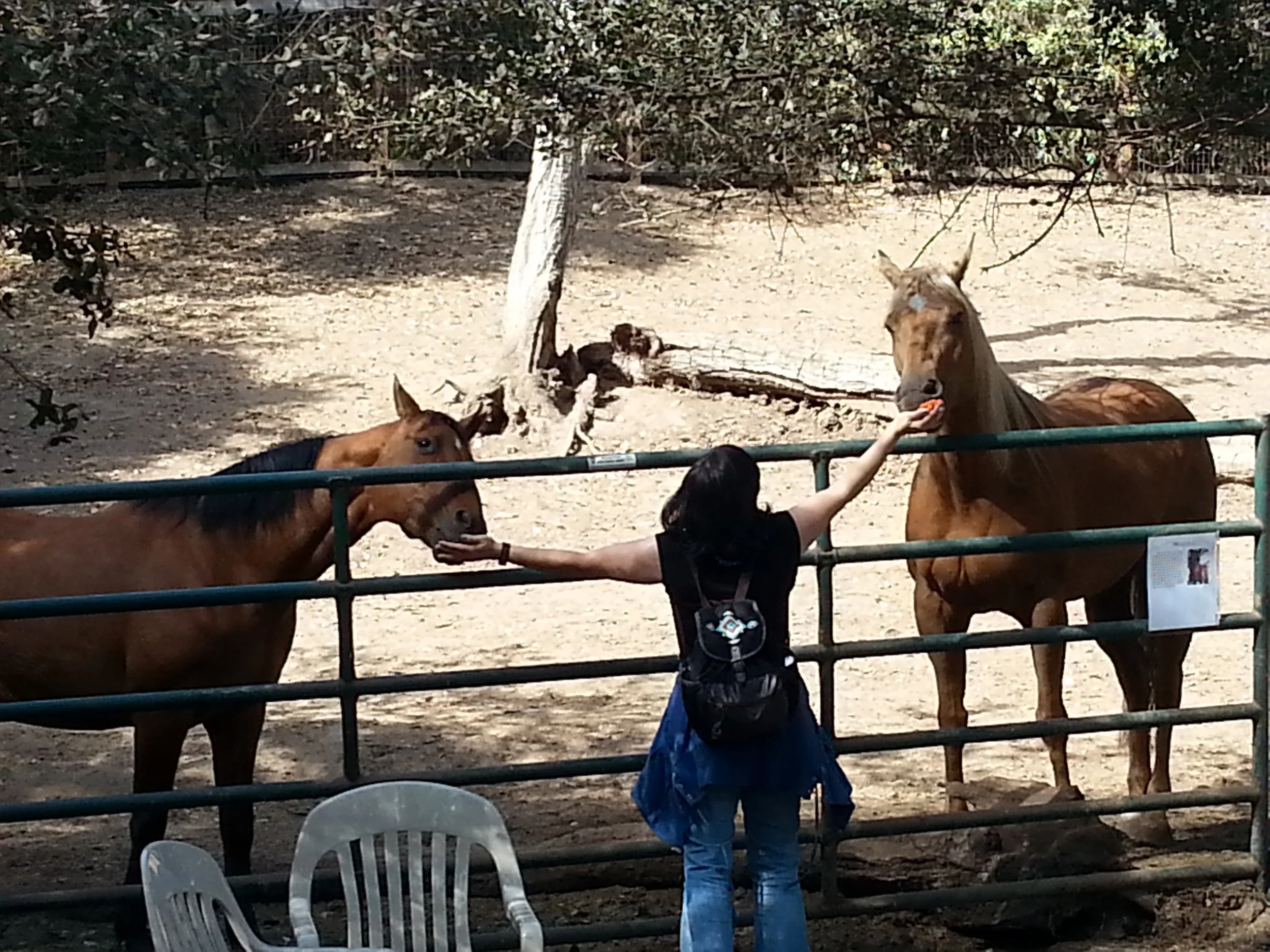 Treat time for Malibu & Maria!