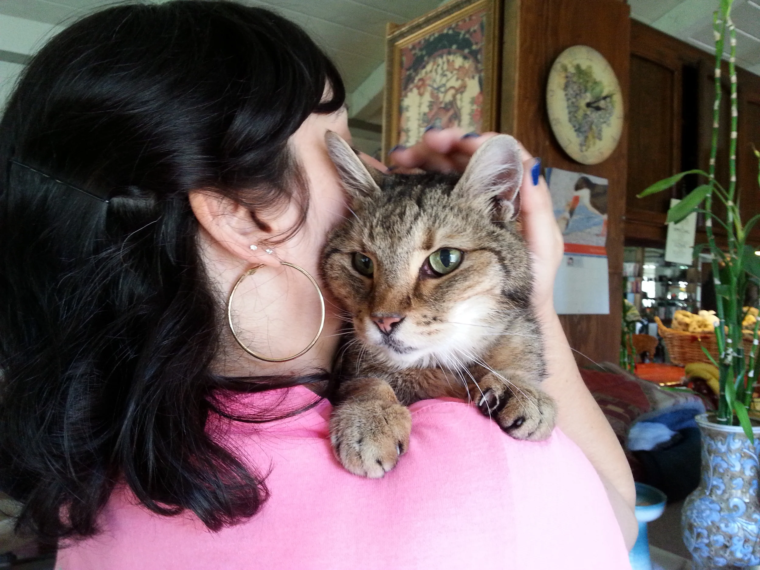 Sam (R.I.P)