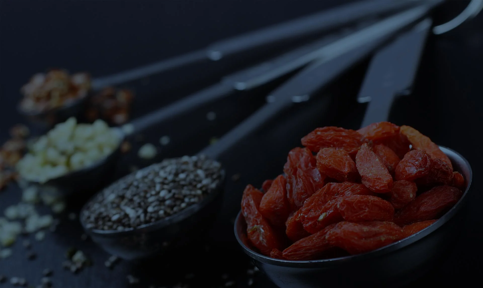 goji.jpg