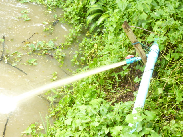 Muddy water on tap at Monsaengdao