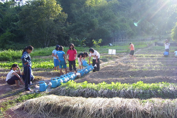 Students growing their own vegetables Monsaengdao