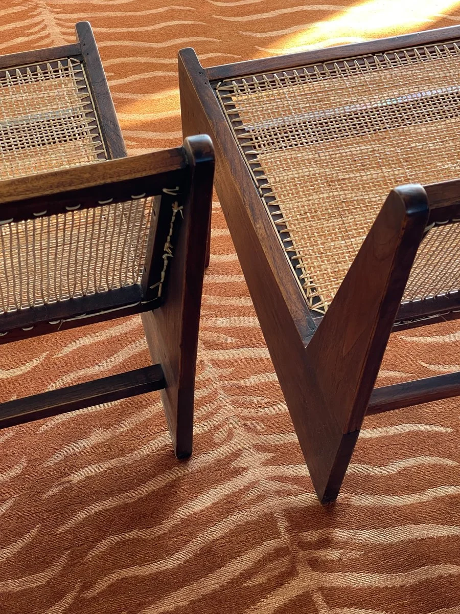 Tiger Spine-Orange_©reuberhenning.jpg