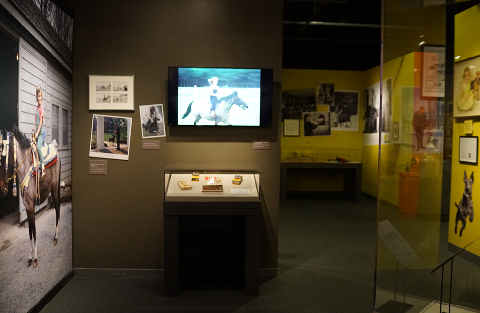 JFKPets_7_11_253.png