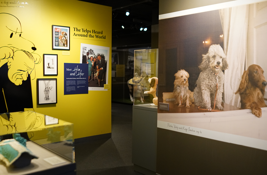 JFKPets_7_11_254.png