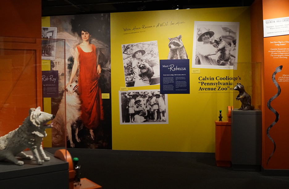 JFKPets_7_11_255.png