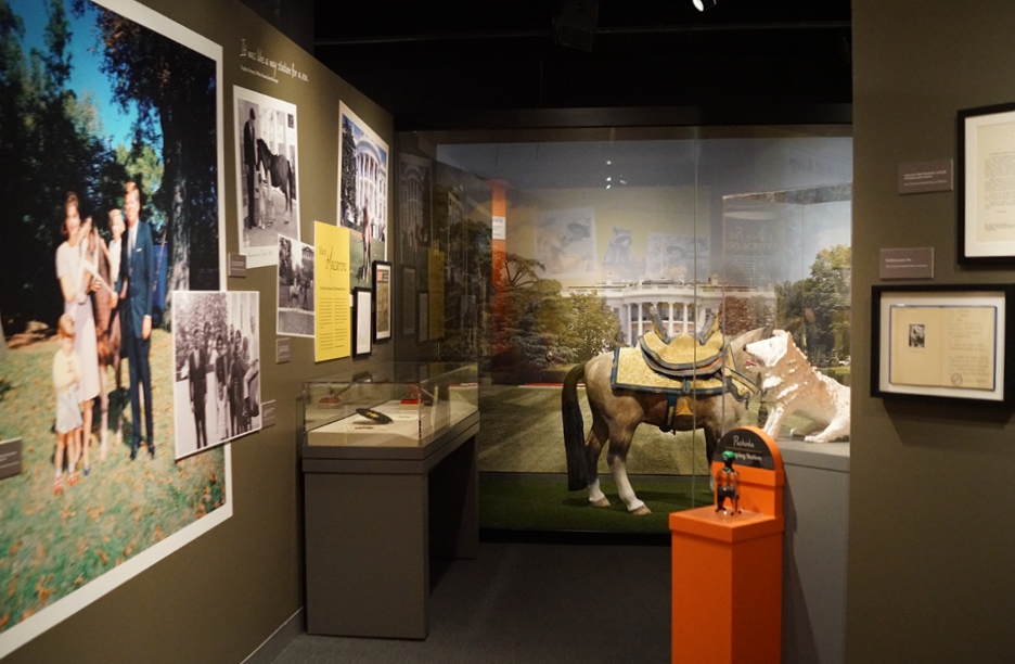JFKPets_7_11_256.png