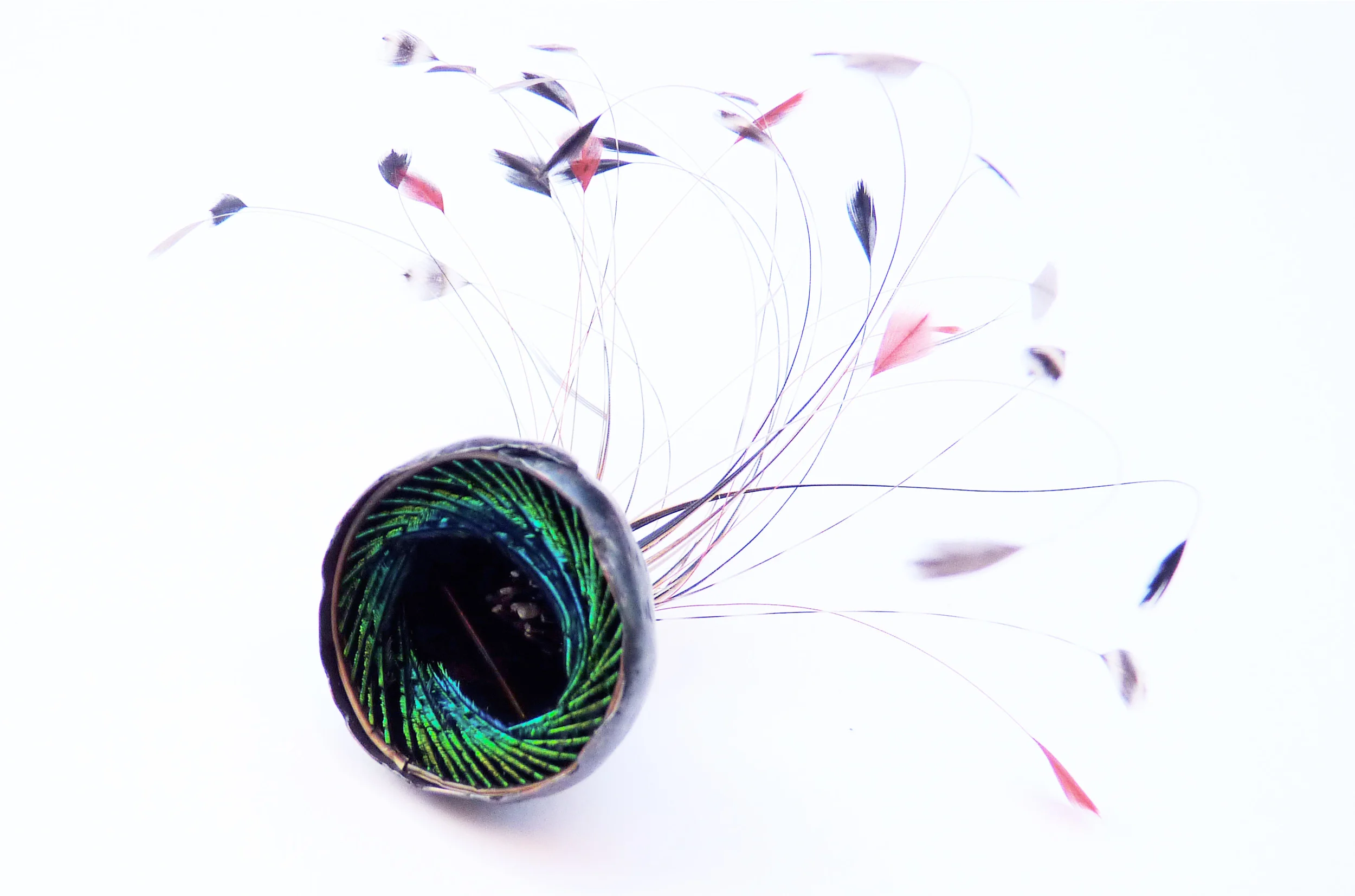 Plume Brooch - o xidised copper, steel, various feathers. 2014