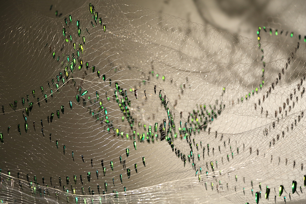  Shoal&nbsp;Installation -&nbsp; Thai fishing net, Sternocera Aequistignata beetle wings. 2015  