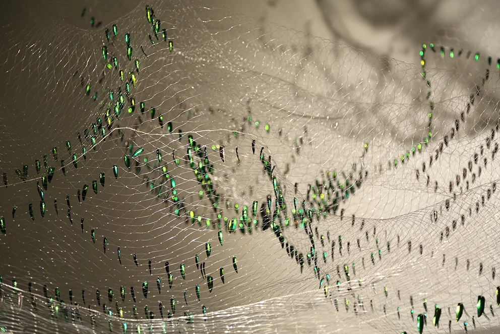 Shoal Installation - Thai fishing net, Sternocera Aequistignata beetle wings. 2015