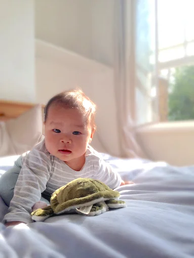Meet the little one