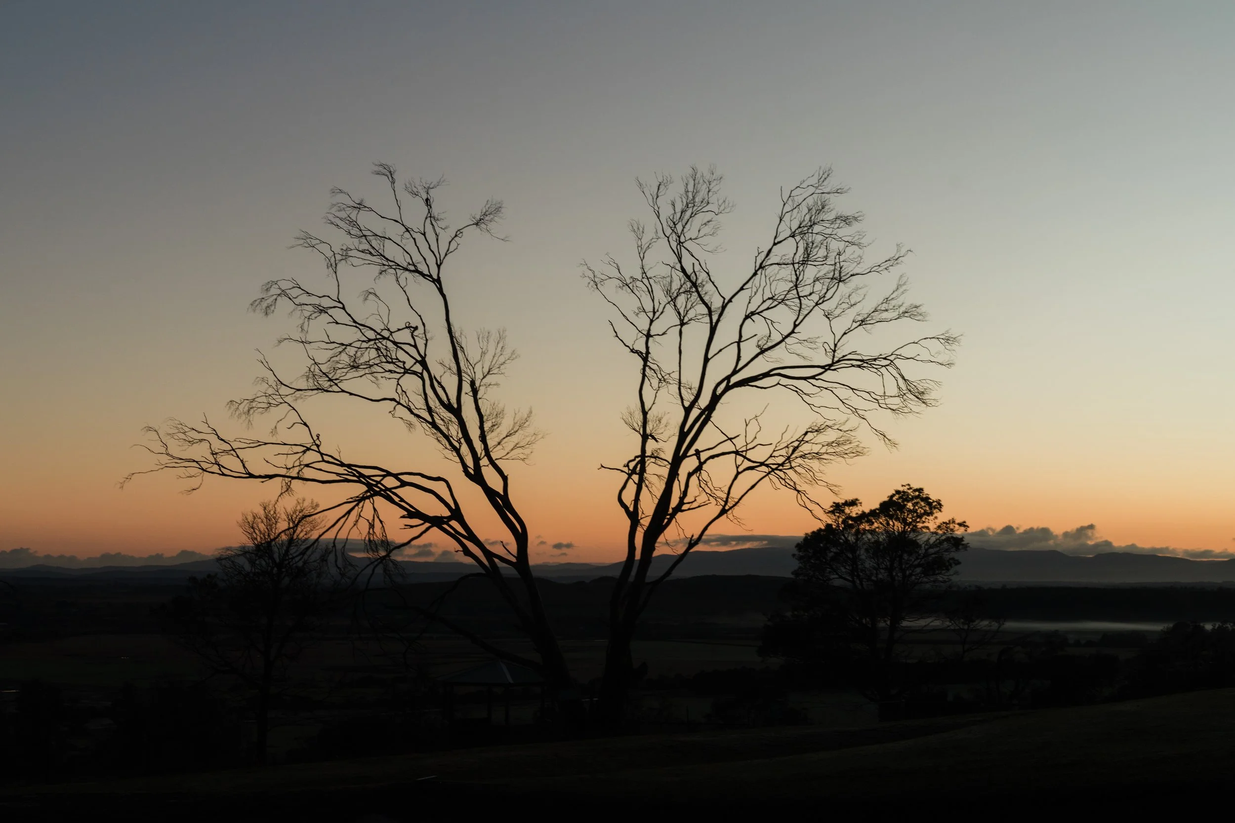 WIP-Winter-Tassie-11.jpg
