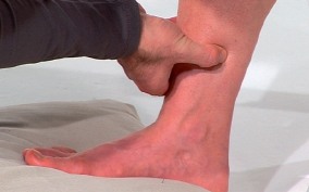 Spleen 6