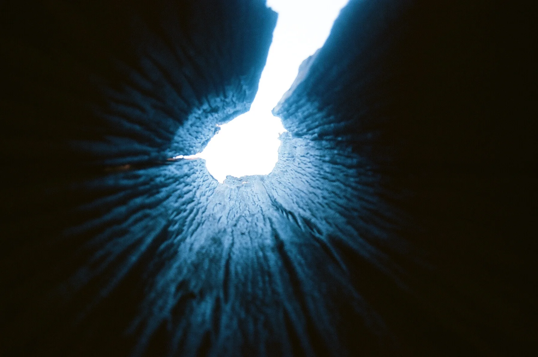 01130019.JPG