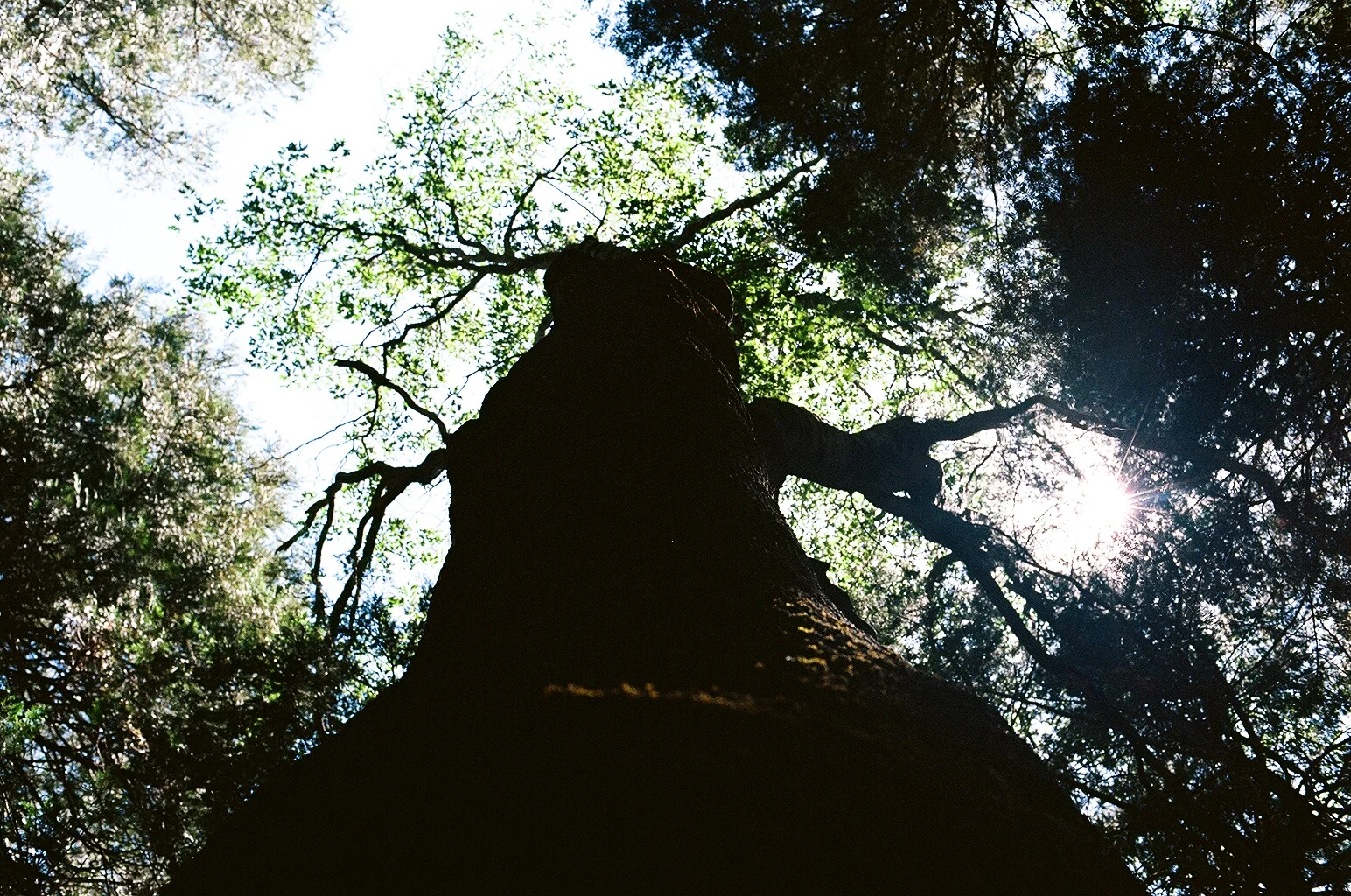 11960033.JPG