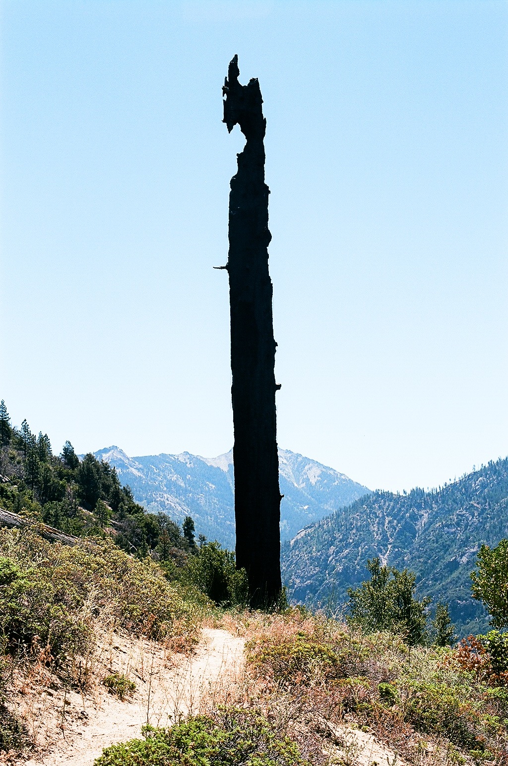 11990015.JPG